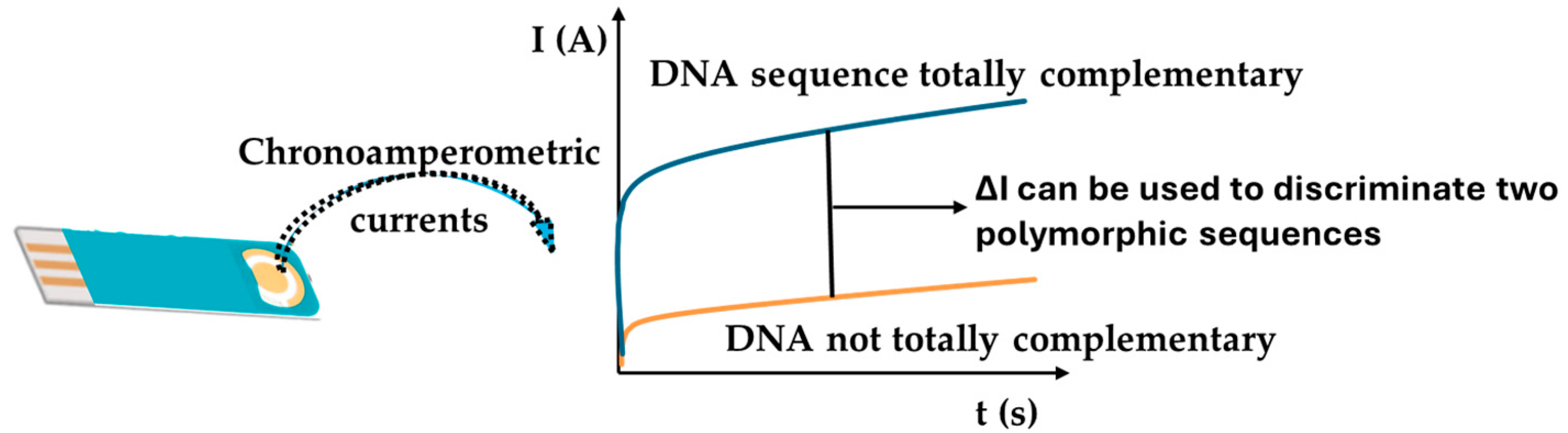 Chemosensors 13 00248 sch003