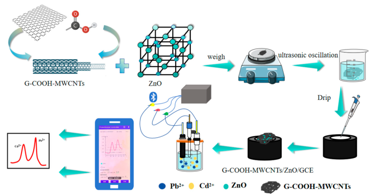 Chemosensors 13 00251 i001