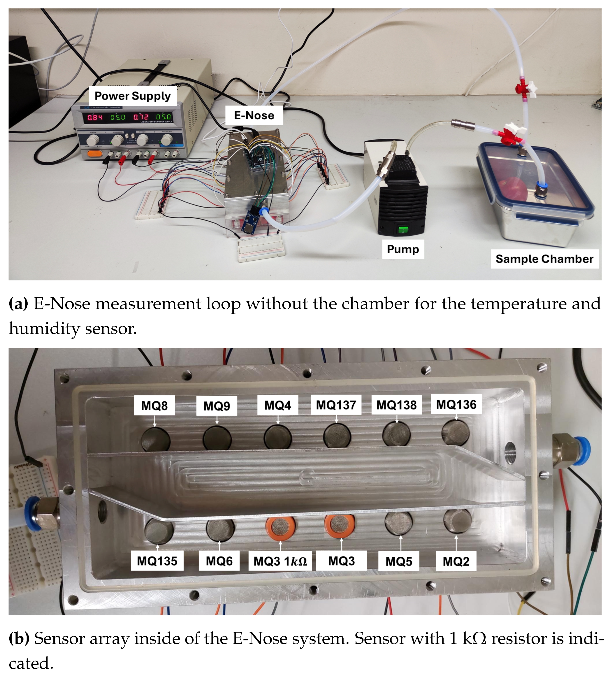 Chemosensors 13 00255 g001