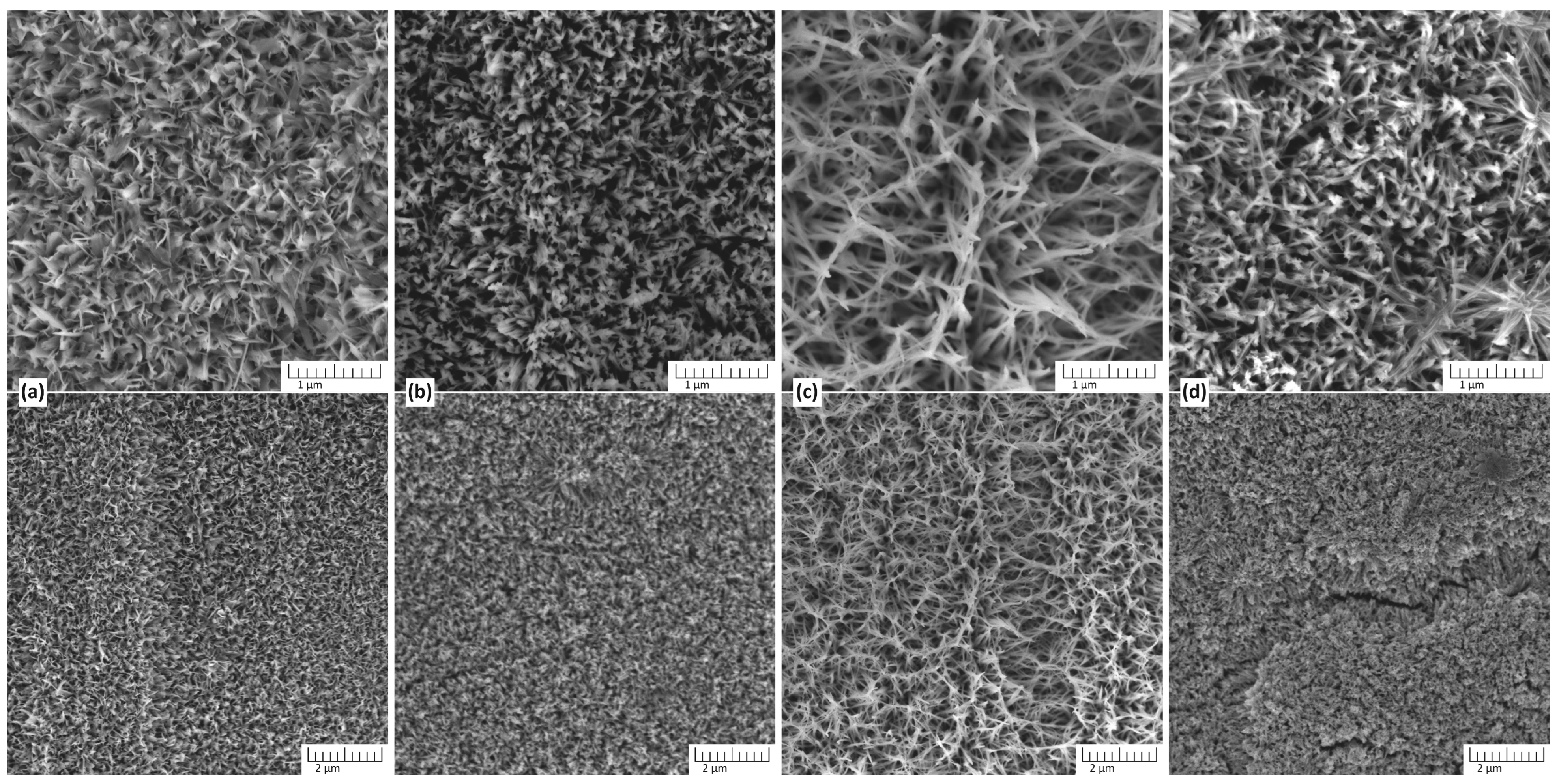 Chemosensors 13 00256 g001