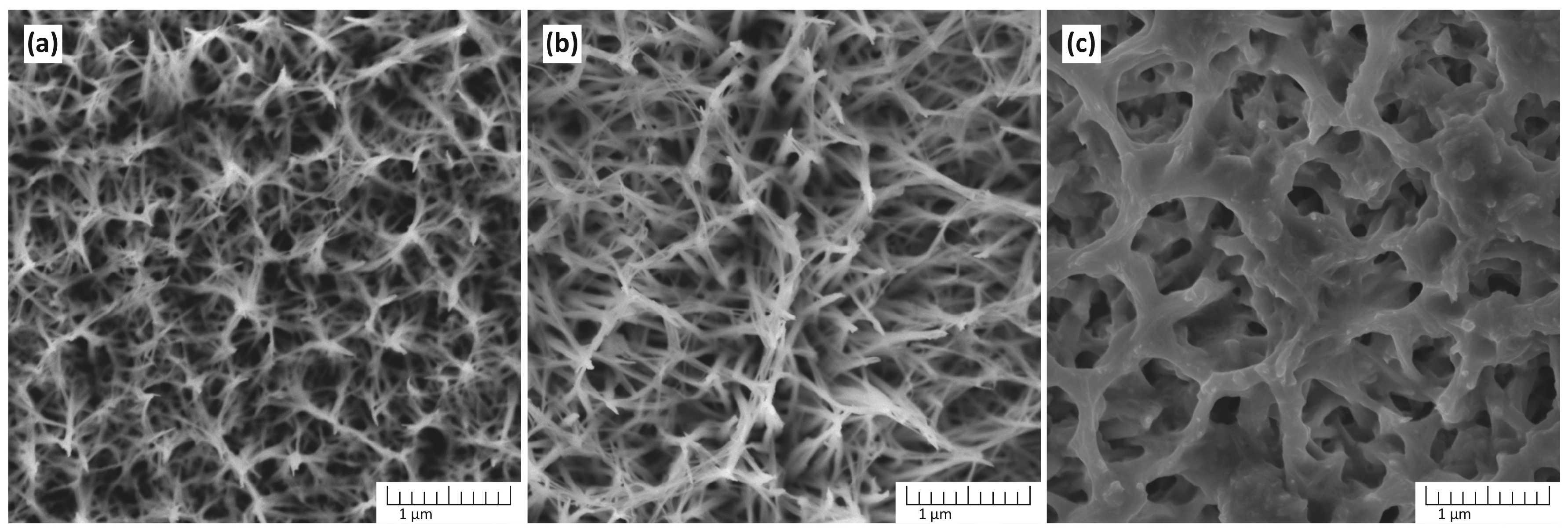 Chemosensors 13 00256 g002