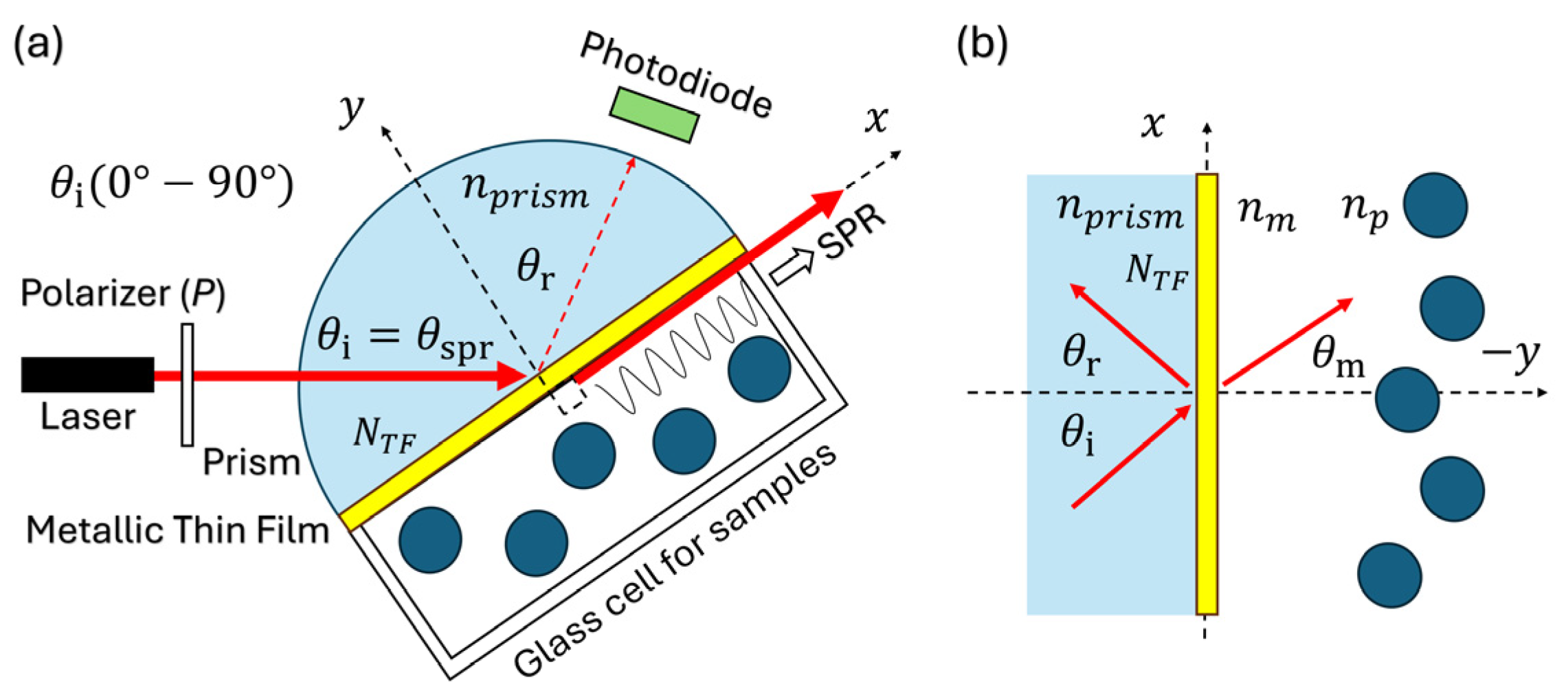 Chemosensors 13 00257 g001