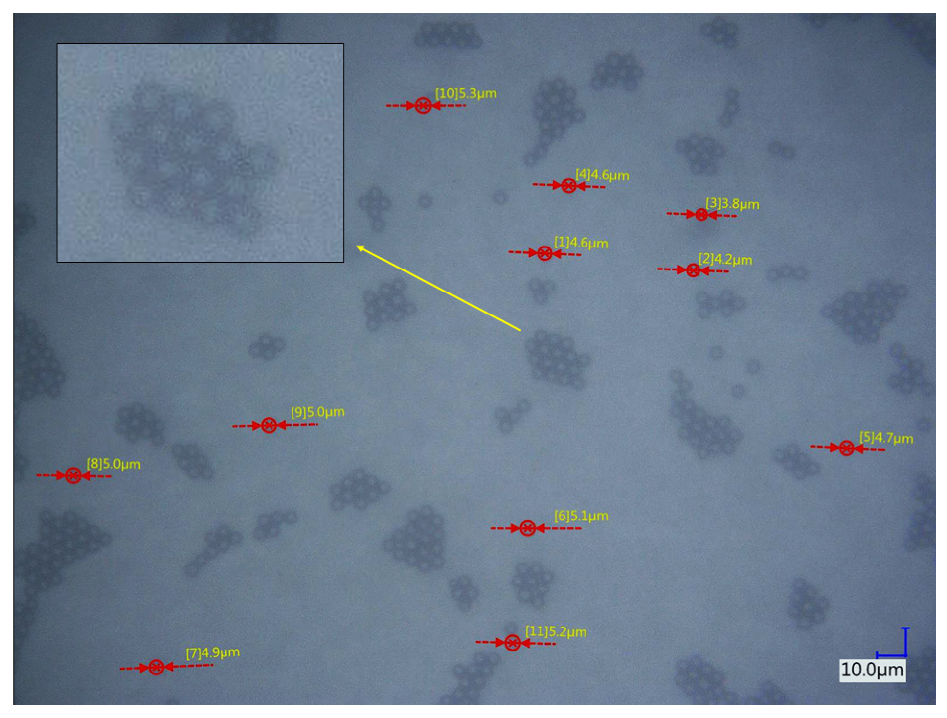 Chemosensors 13 00257 g005