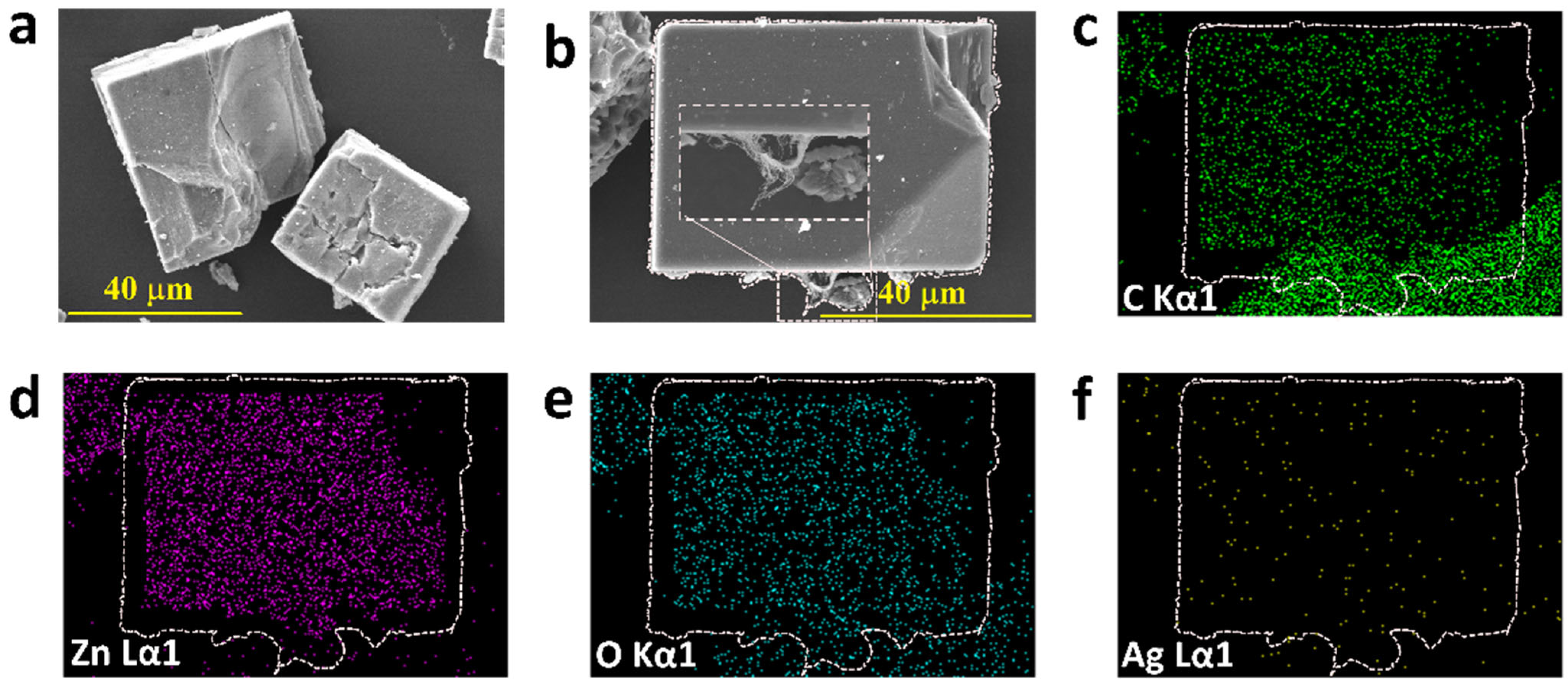 Chemosensors 13 00259 g002