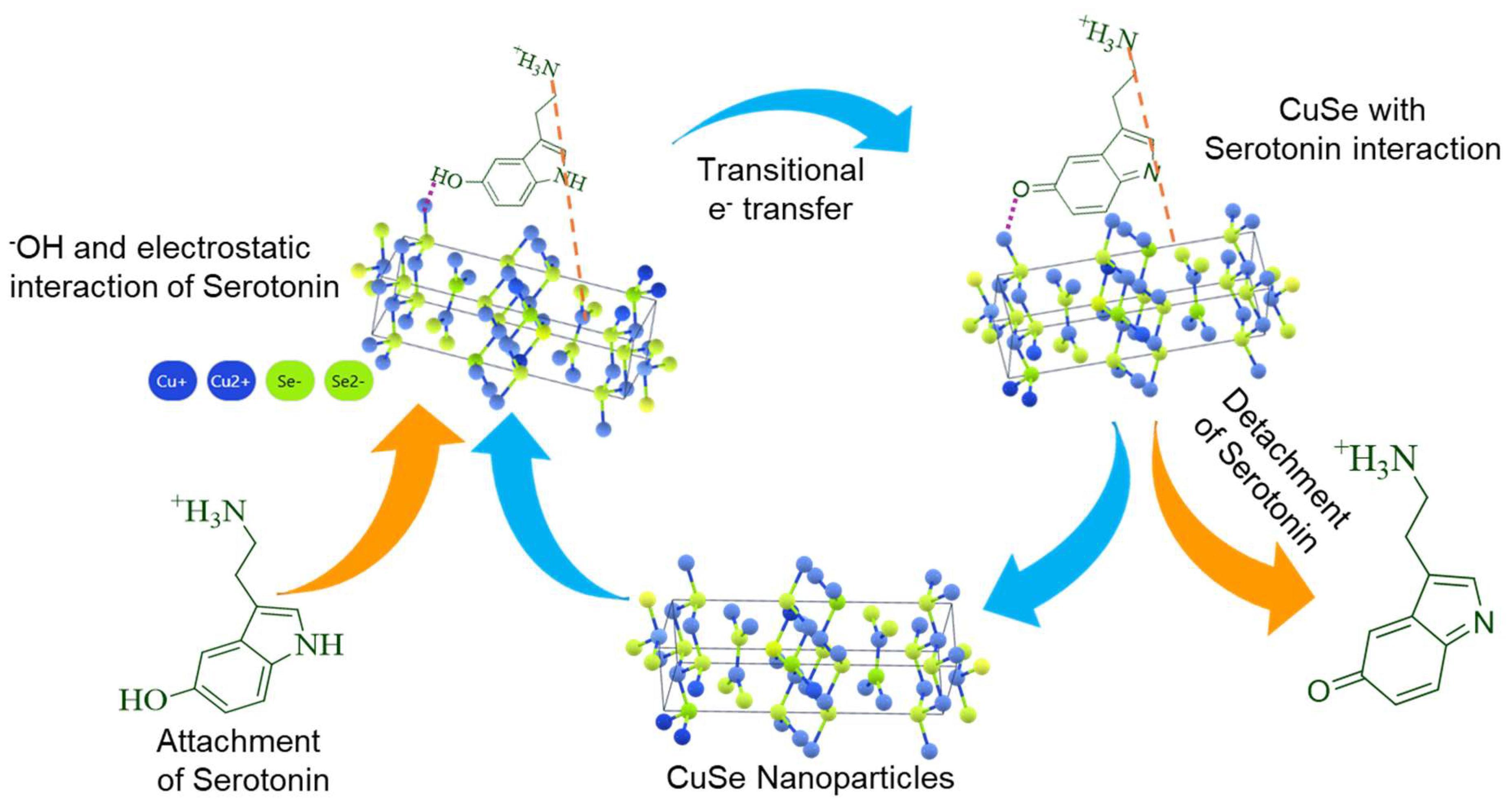 Chemosensors 13 00264 g007 Chemosensors 13 00264 g007