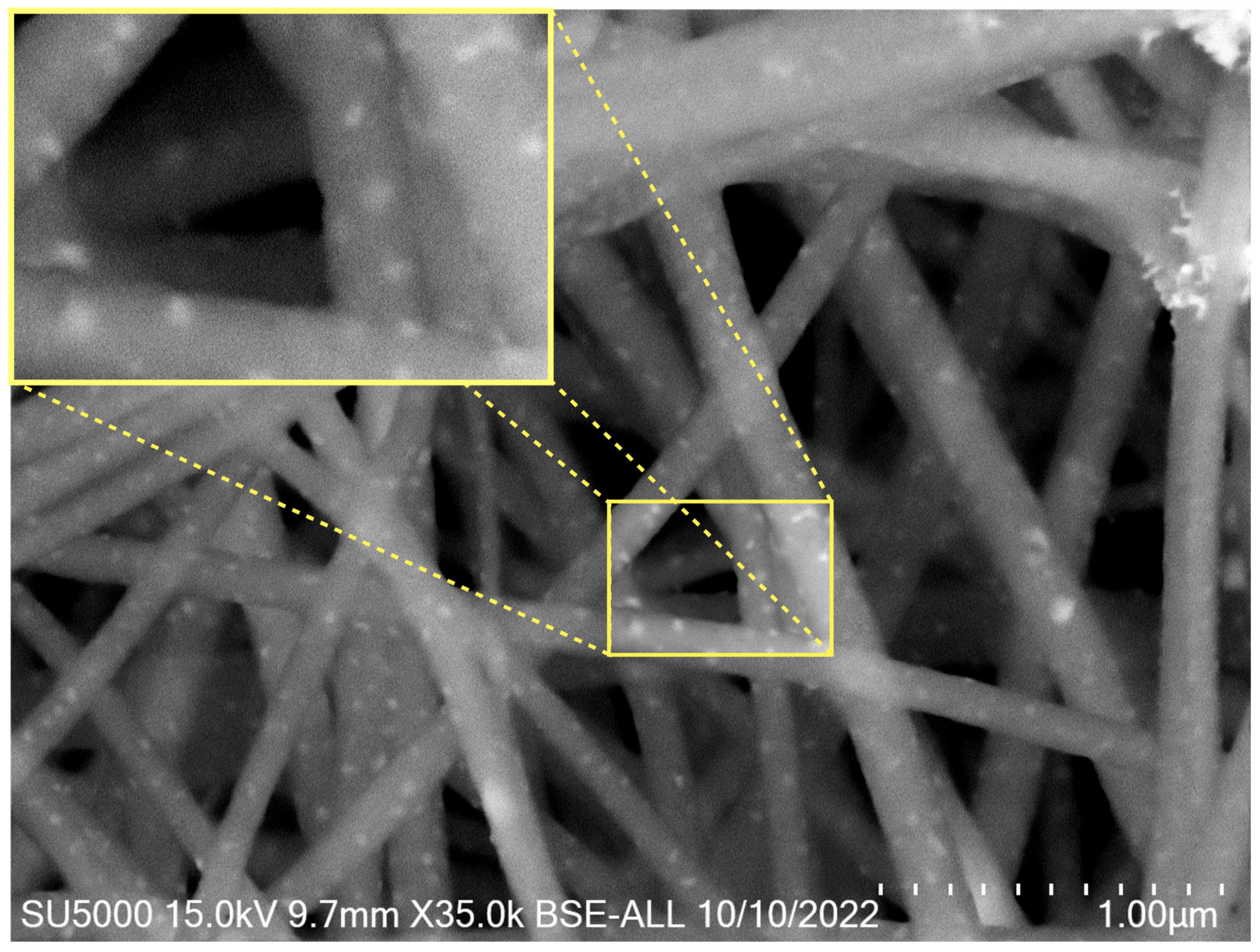 Chemosensors 13 00266 g003