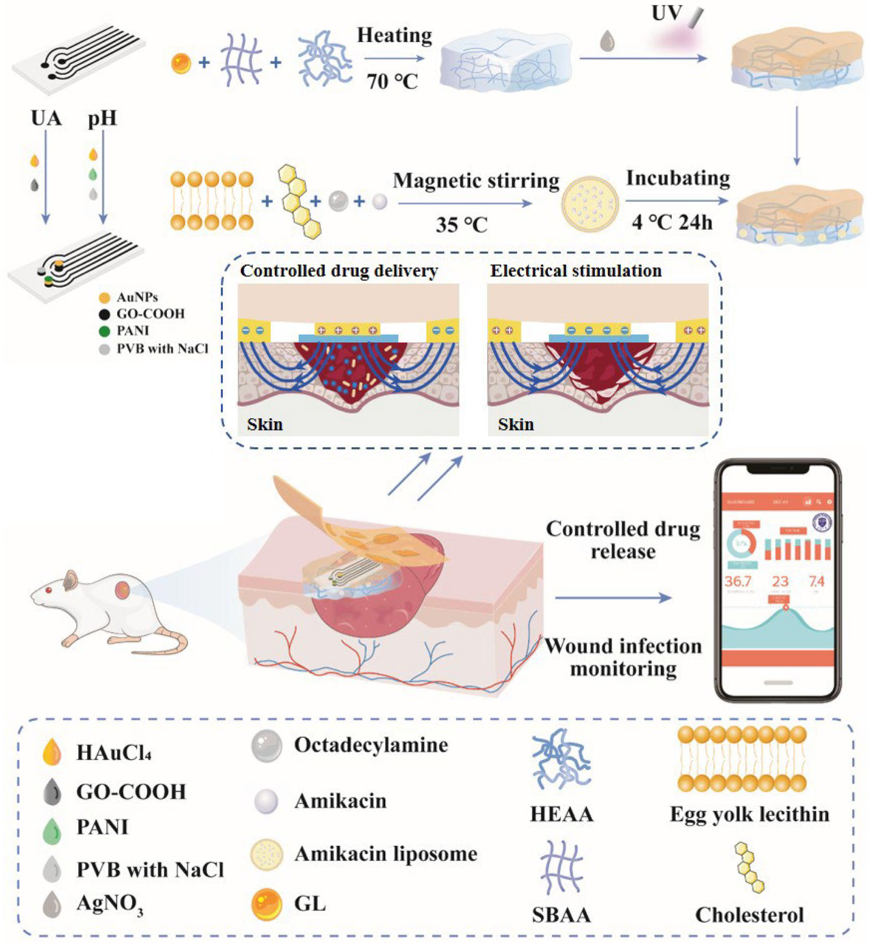 Chemosensors 13 00267 g001