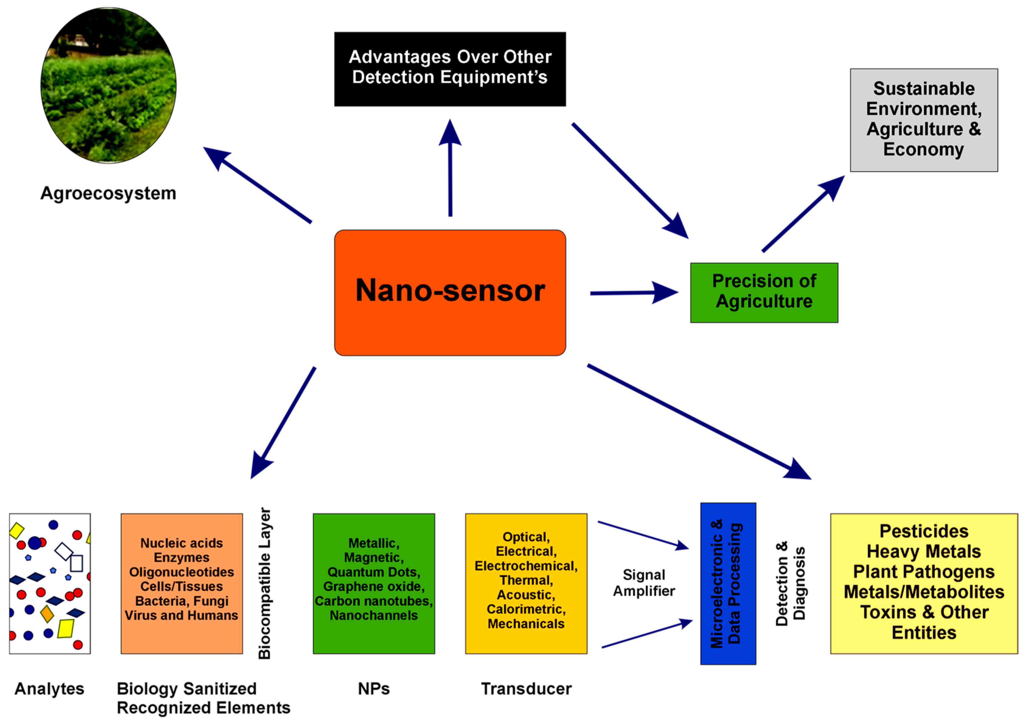 Chemosensors 13 00272 g005