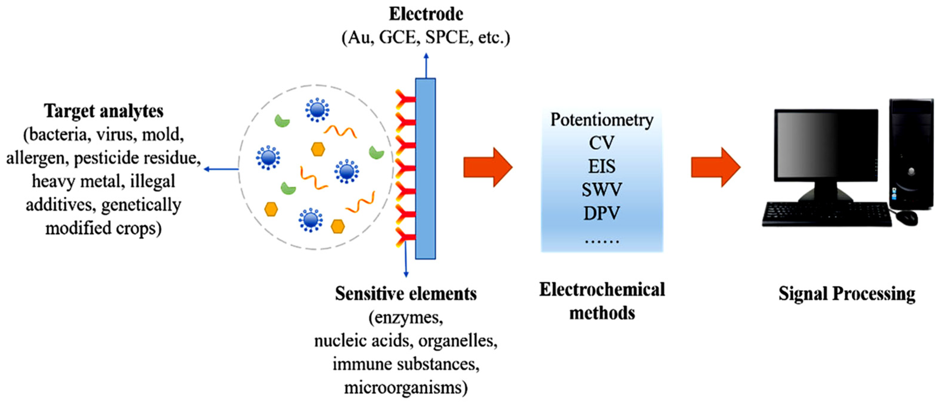 Chemosensors 13 00272 g007