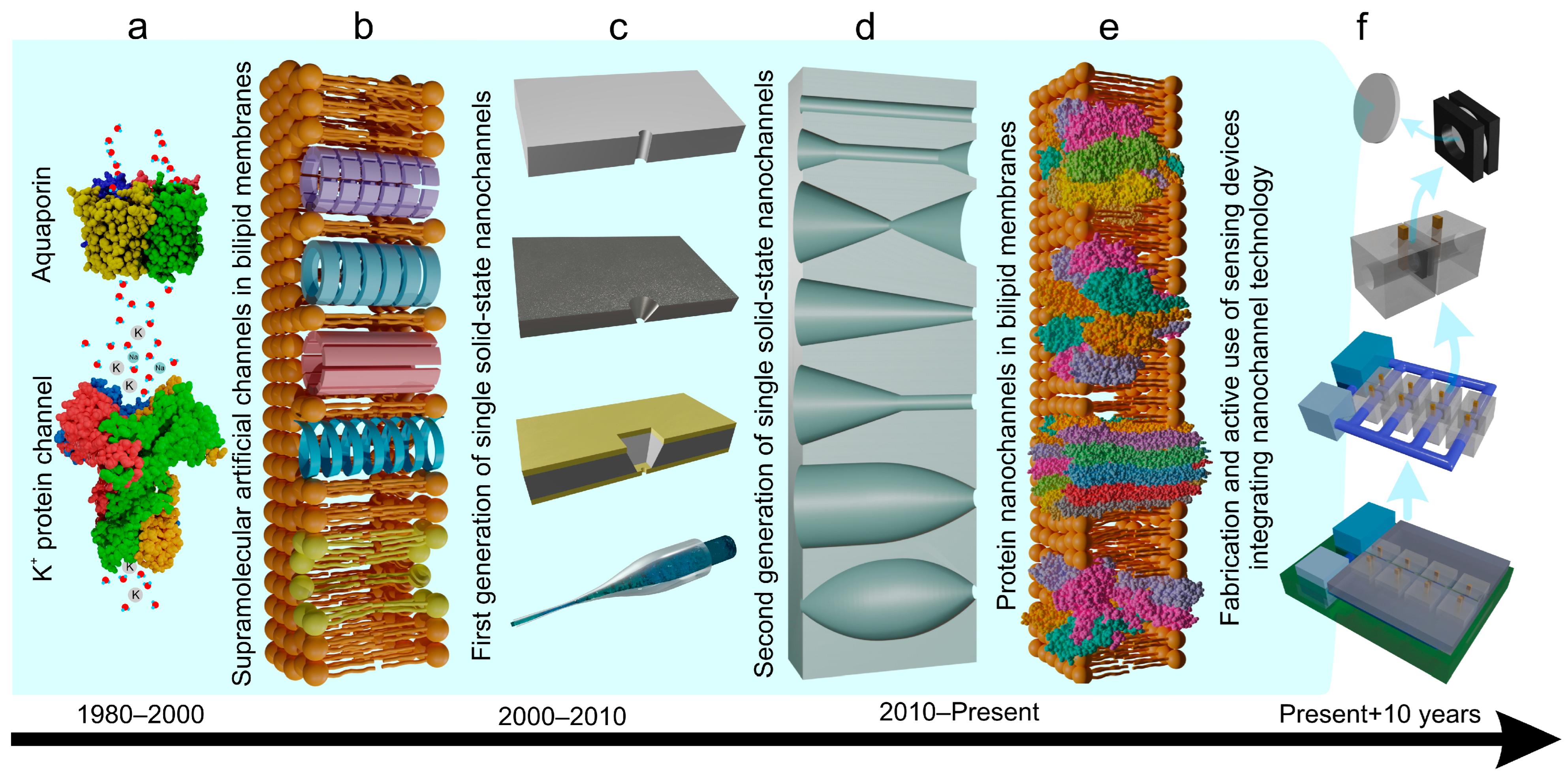 Chemosensors 13 00275 g001