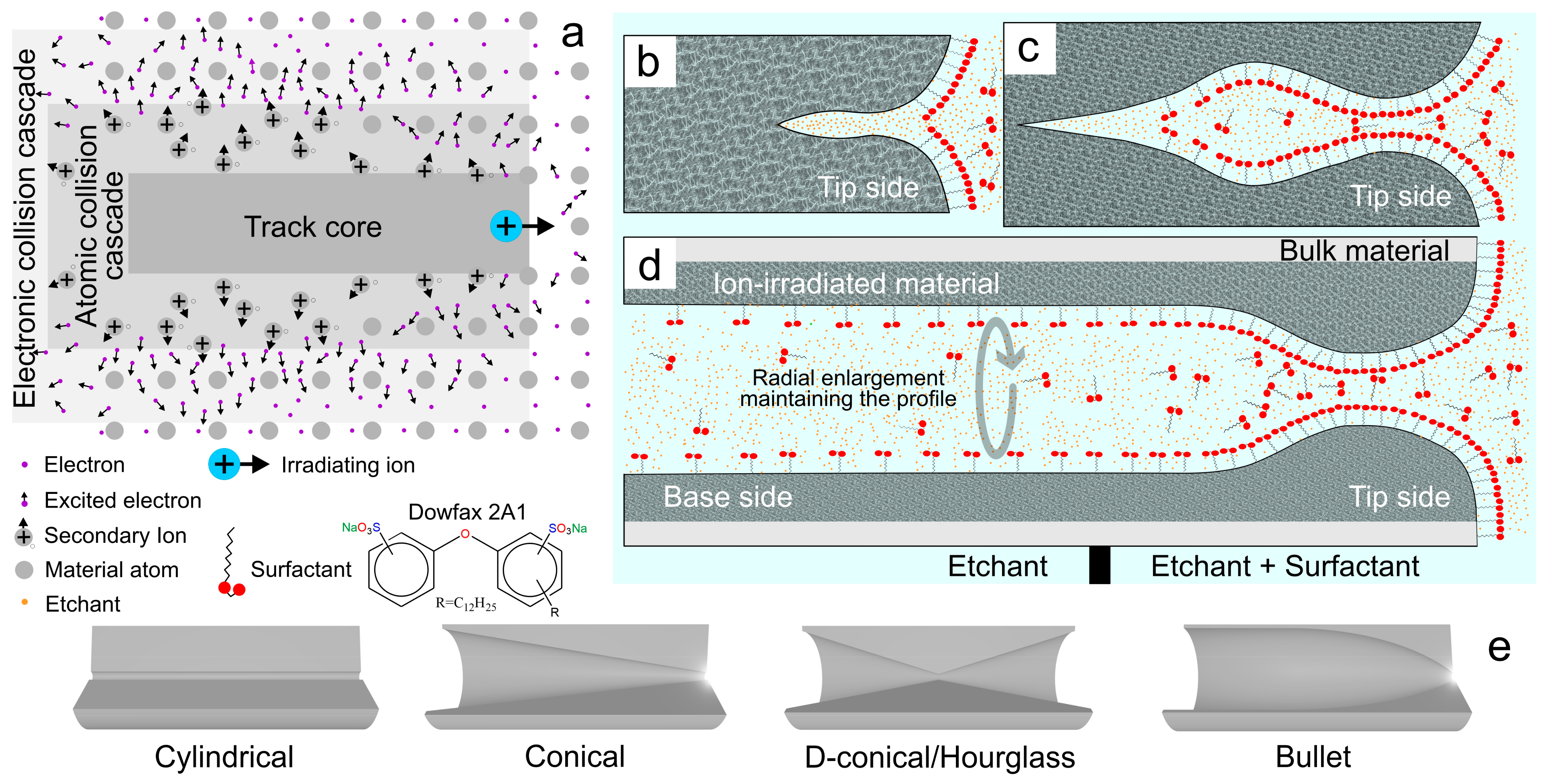 Chemosensors 13 00275 g002