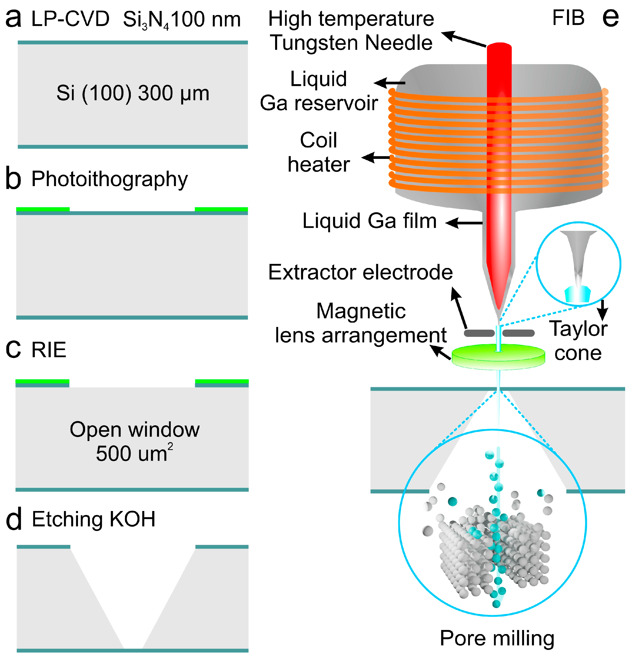 Chemosensors 13 00275 g003
