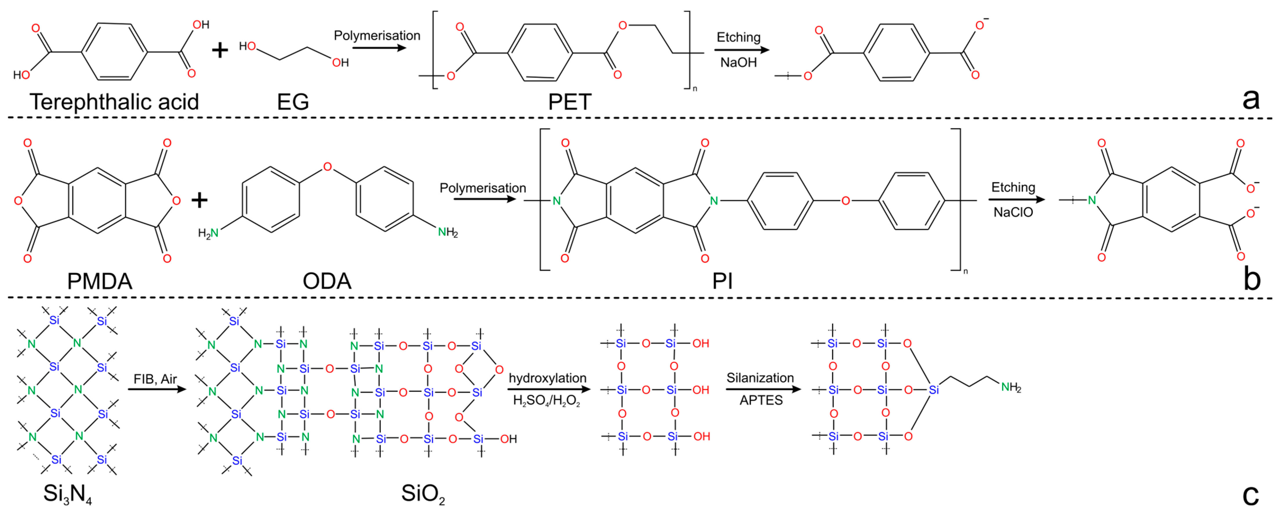 Chemosensors 13 00275 g004