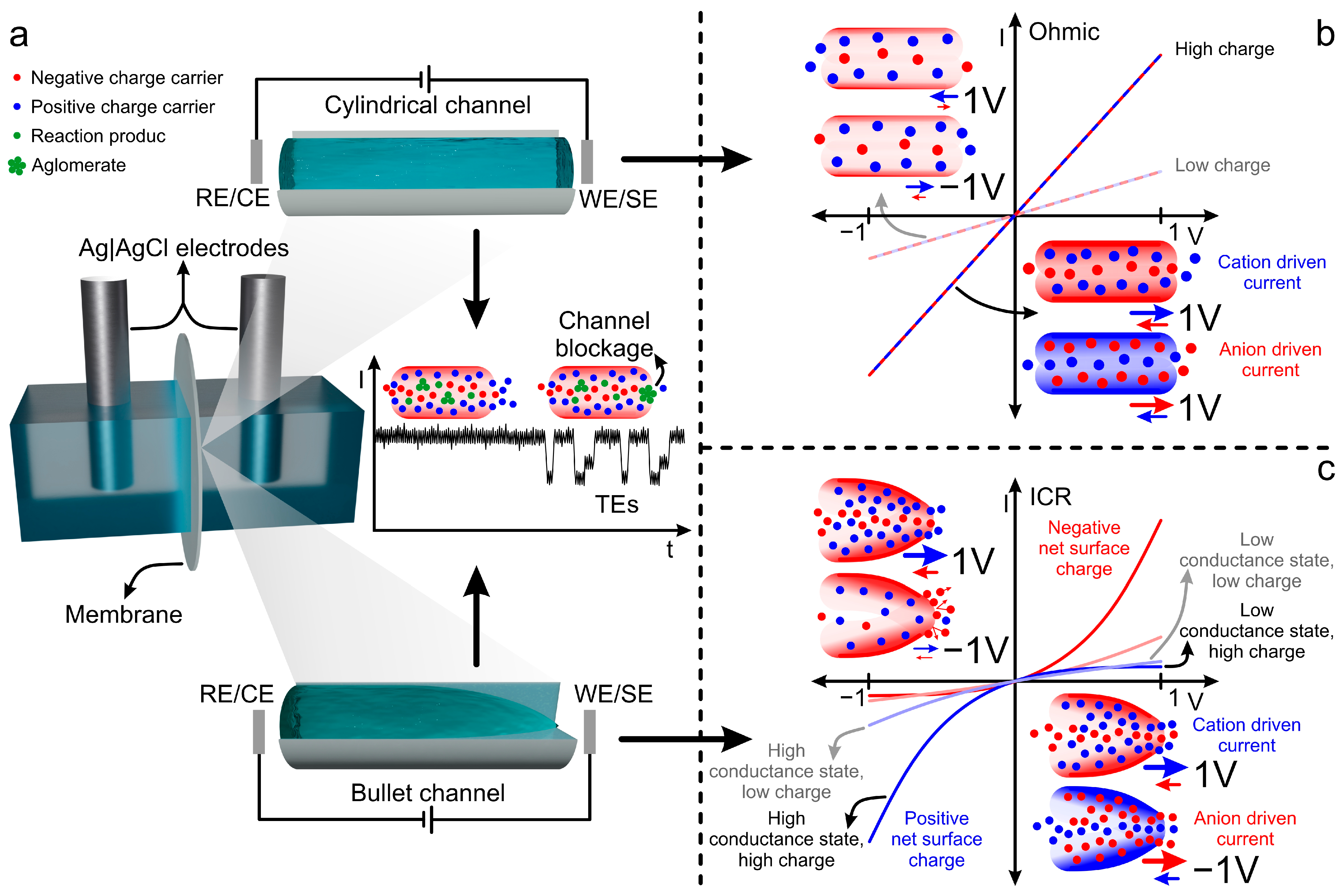 Chemosensors 13 00275 g006