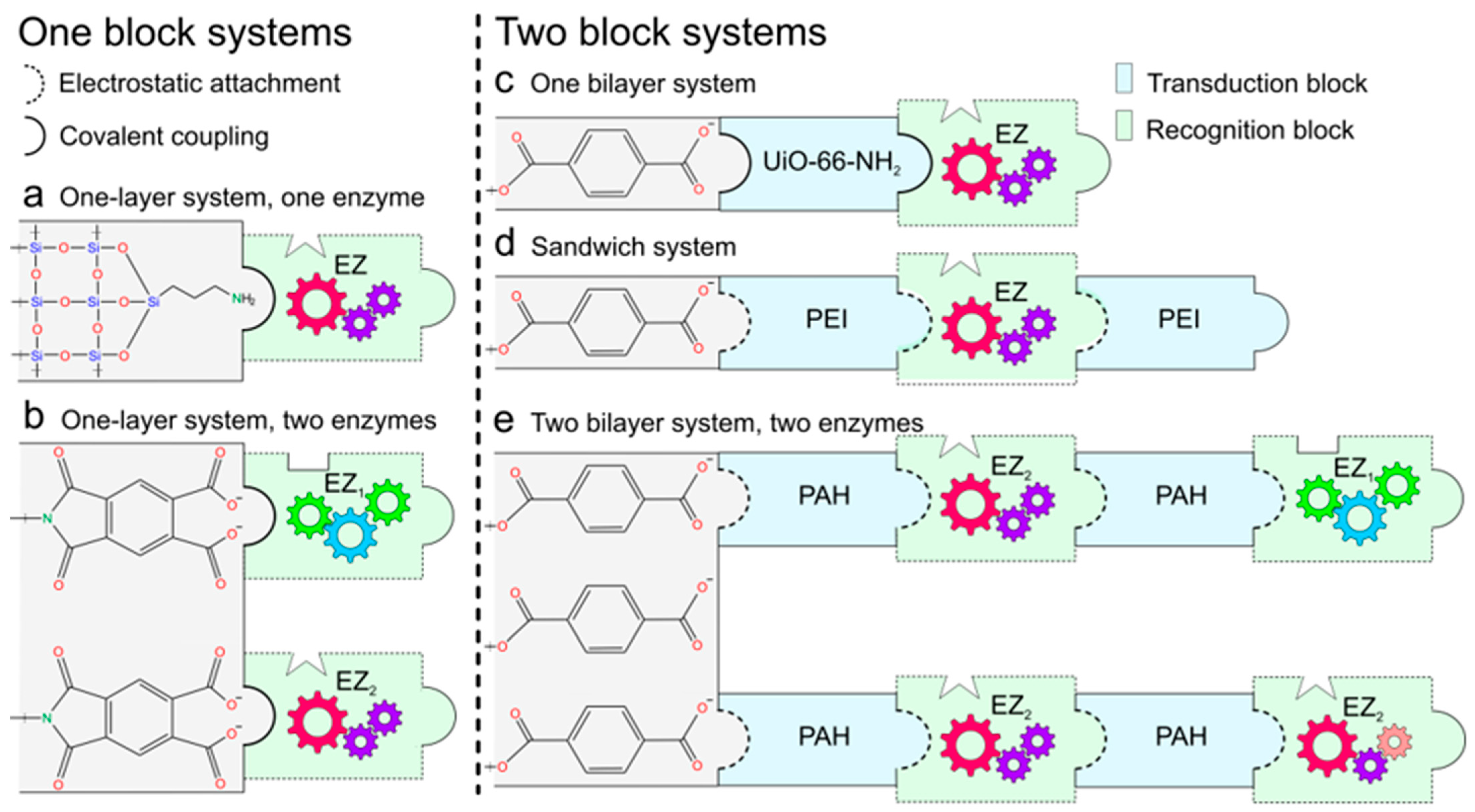 Chemosensors 13 00275 g007