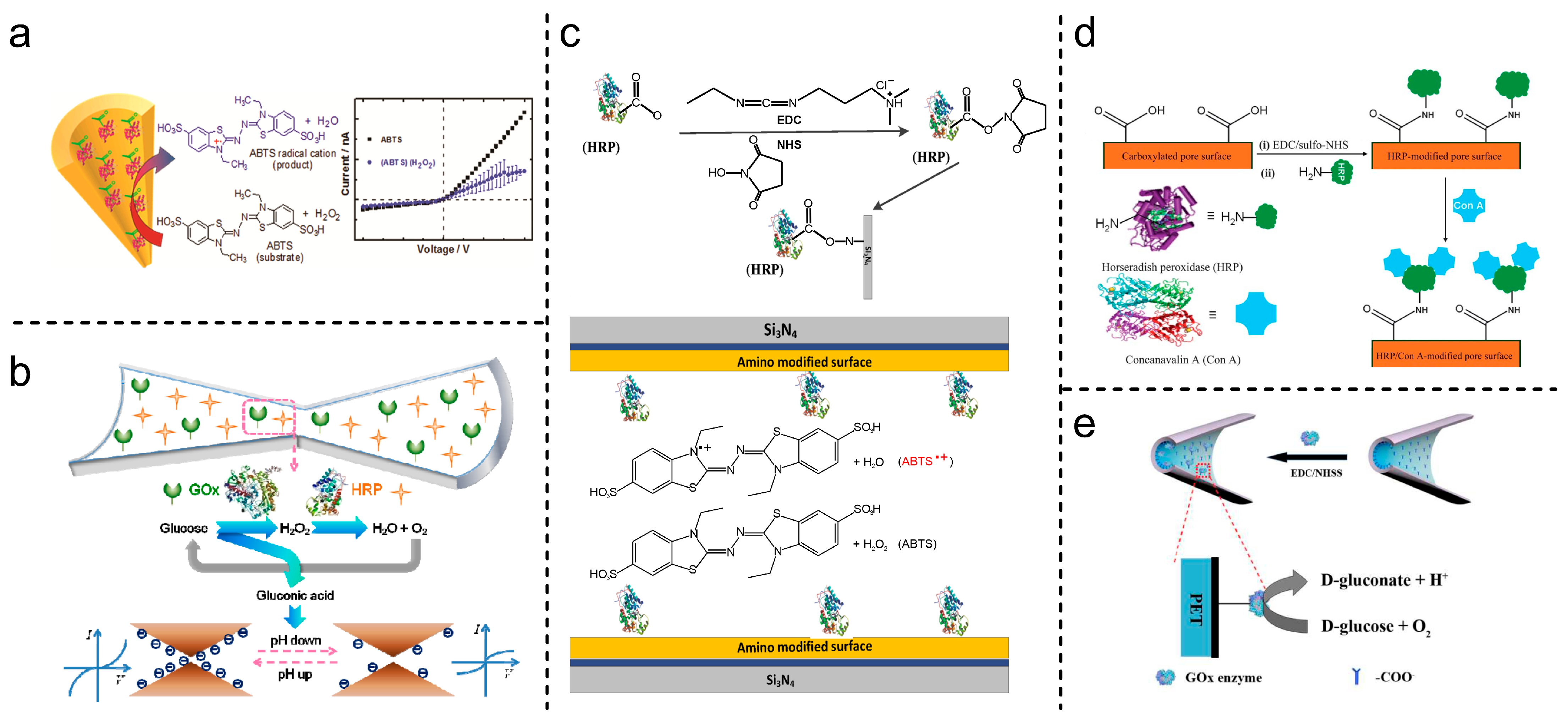 Chemosensors 13 00275 g009