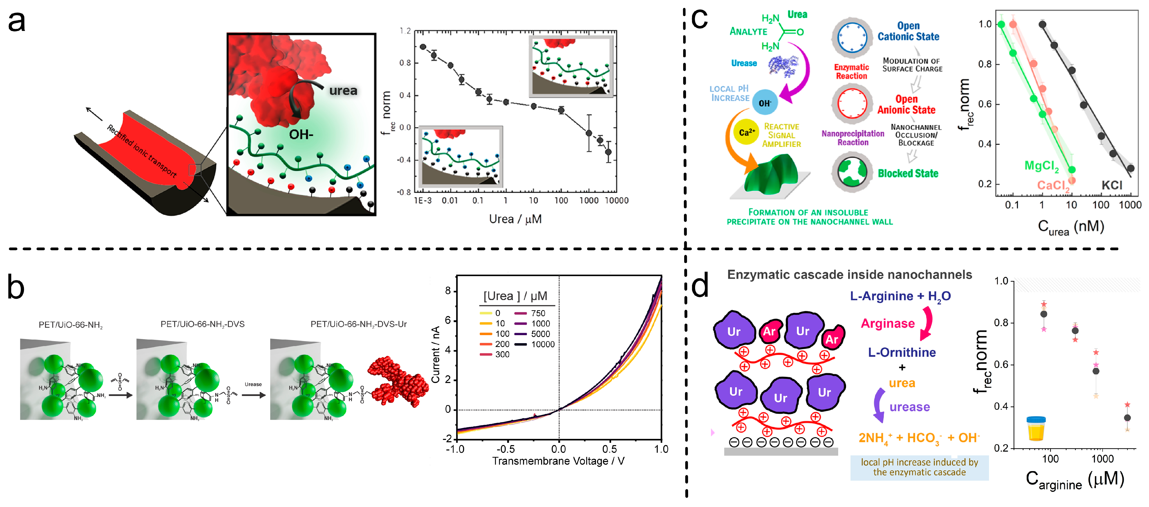 Chemosensors 13 00275 g010