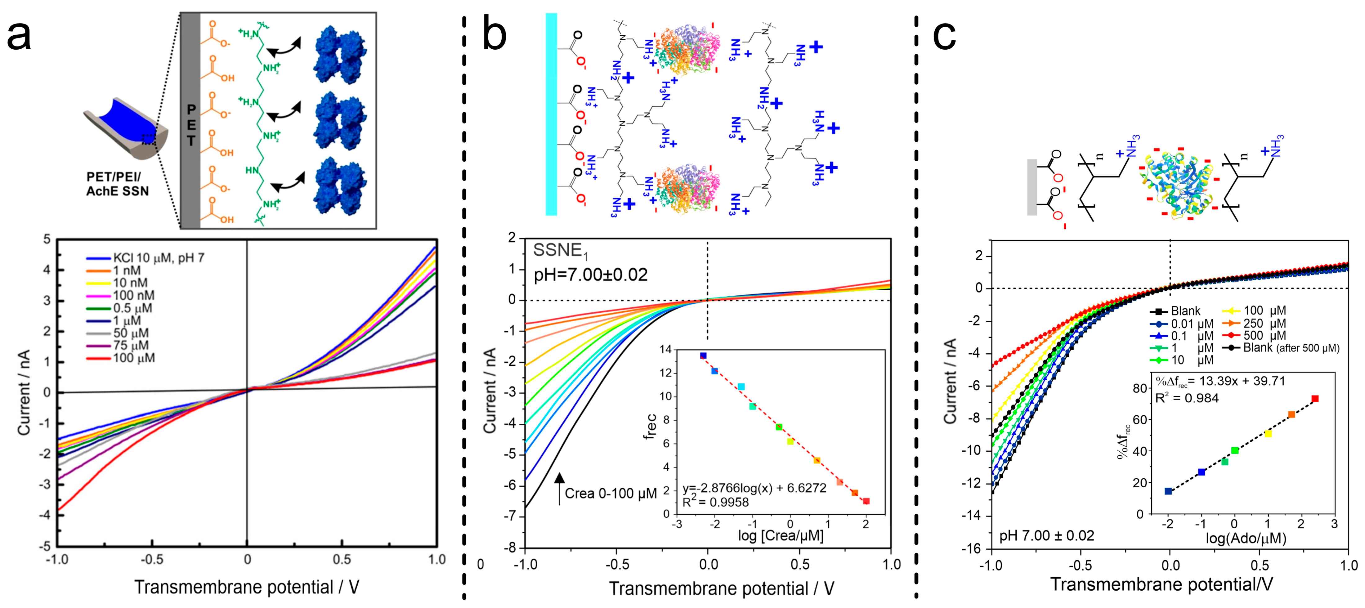 Chemosensors 13 00275 g011