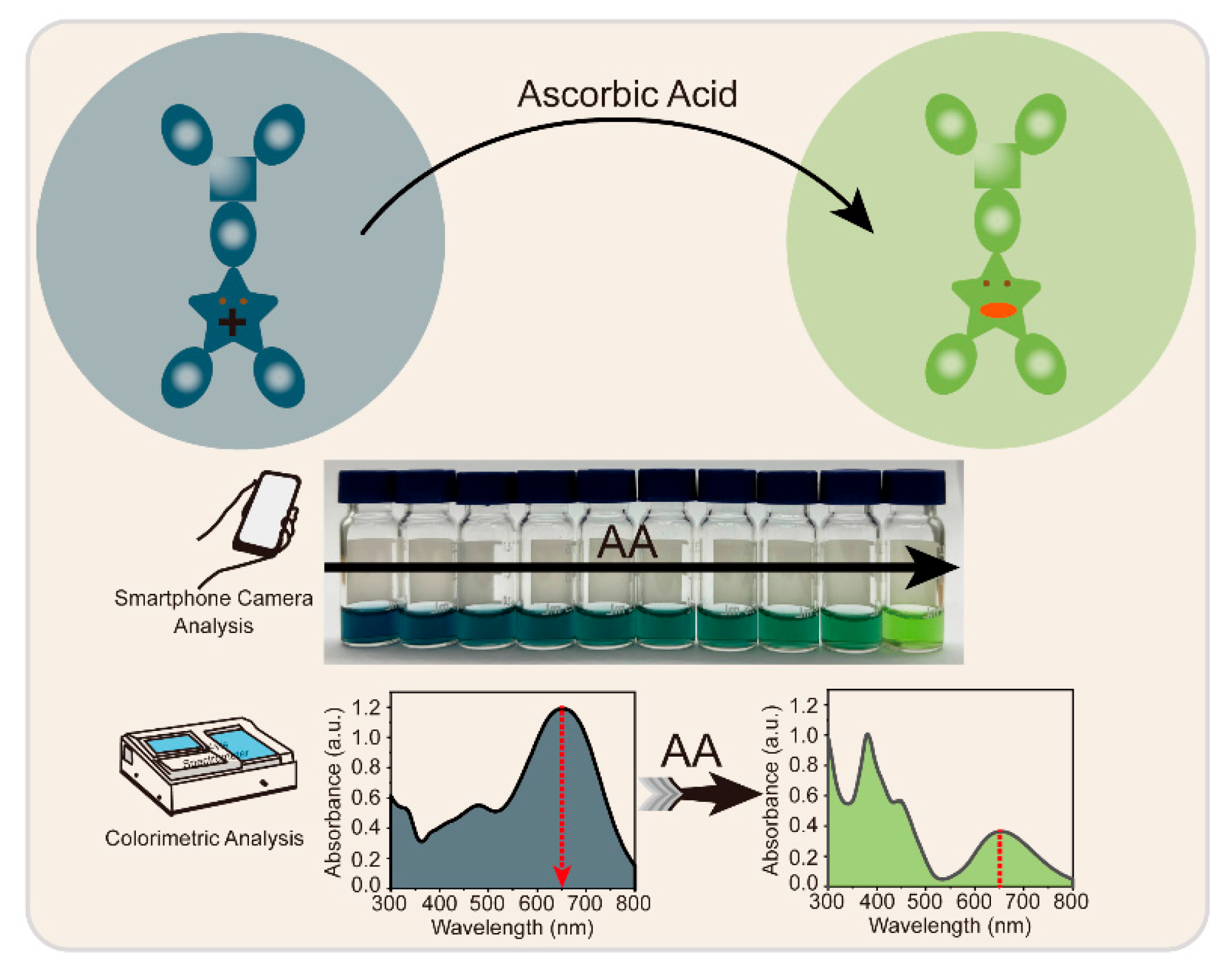 Chemosensors 13 00277 sch001