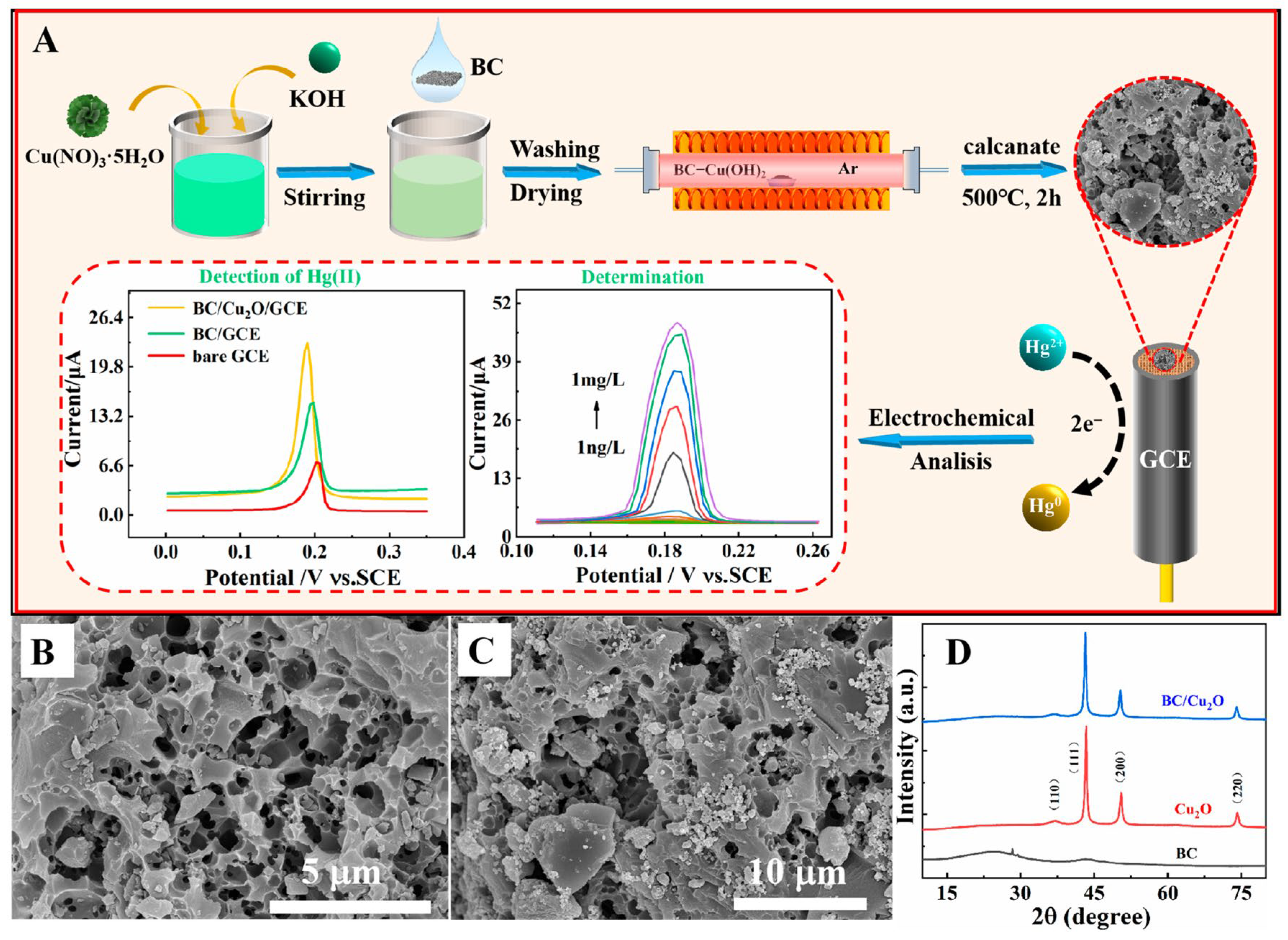 Chemosensors 13 00278 g003