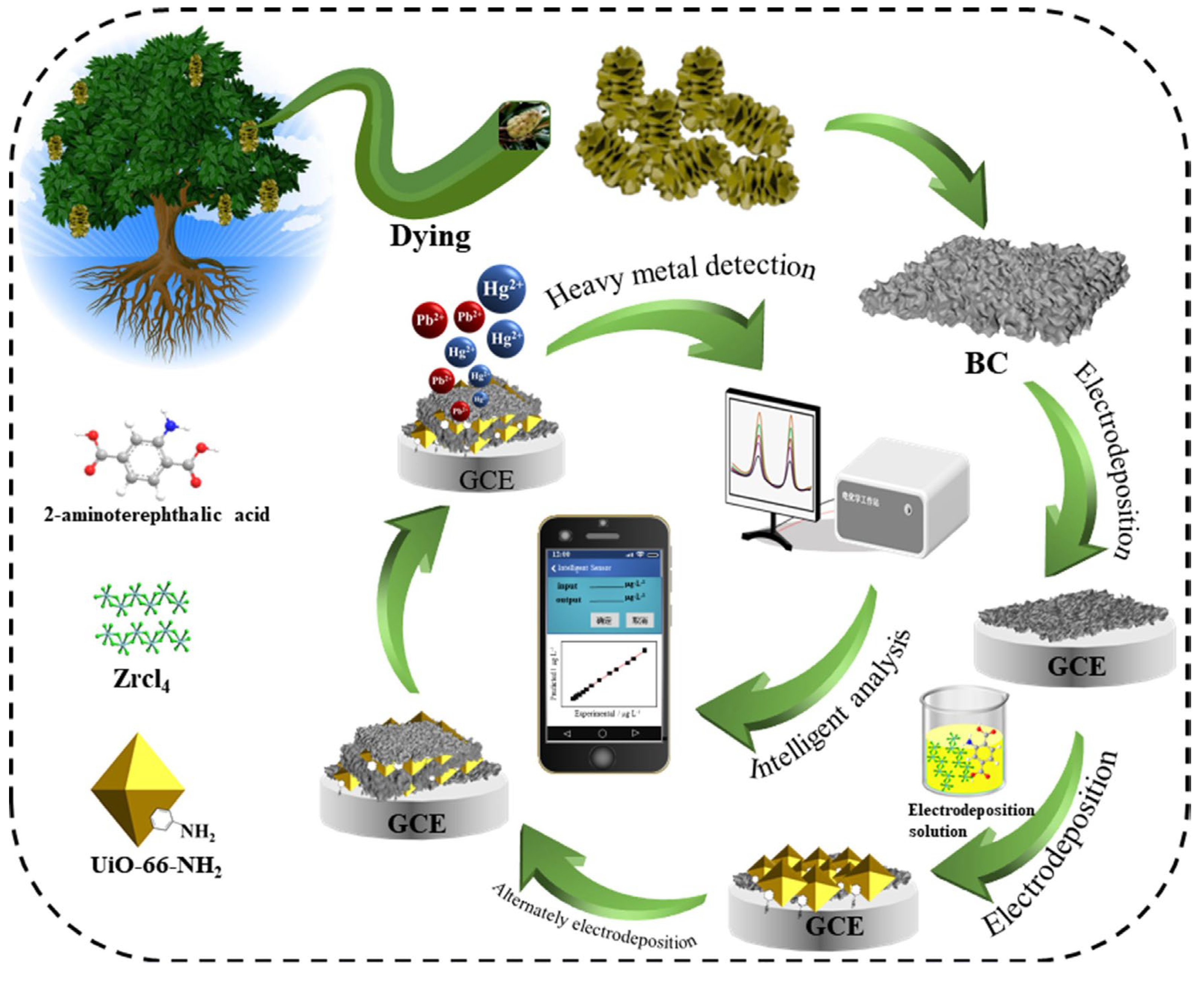 Chemosensors 13 00278 g005