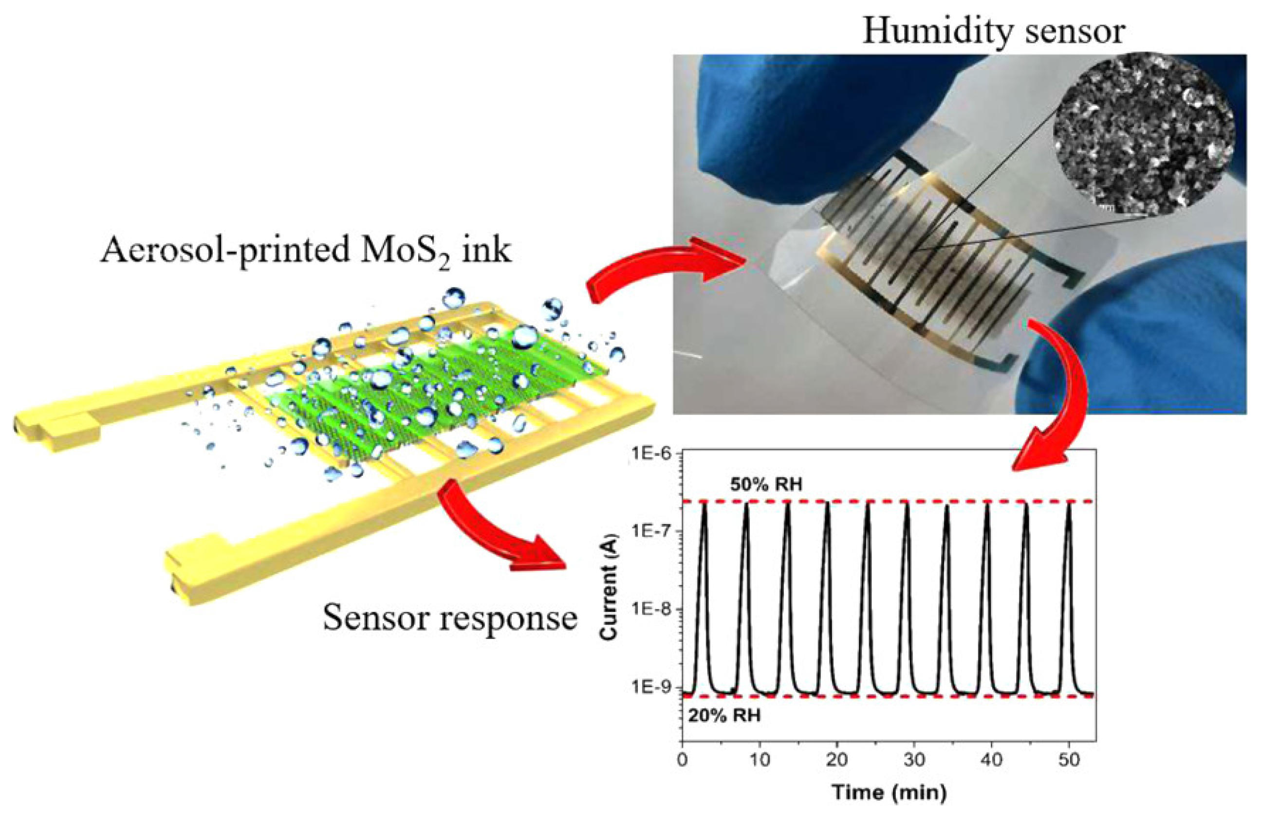 Chemosensors 13 00285 g005
