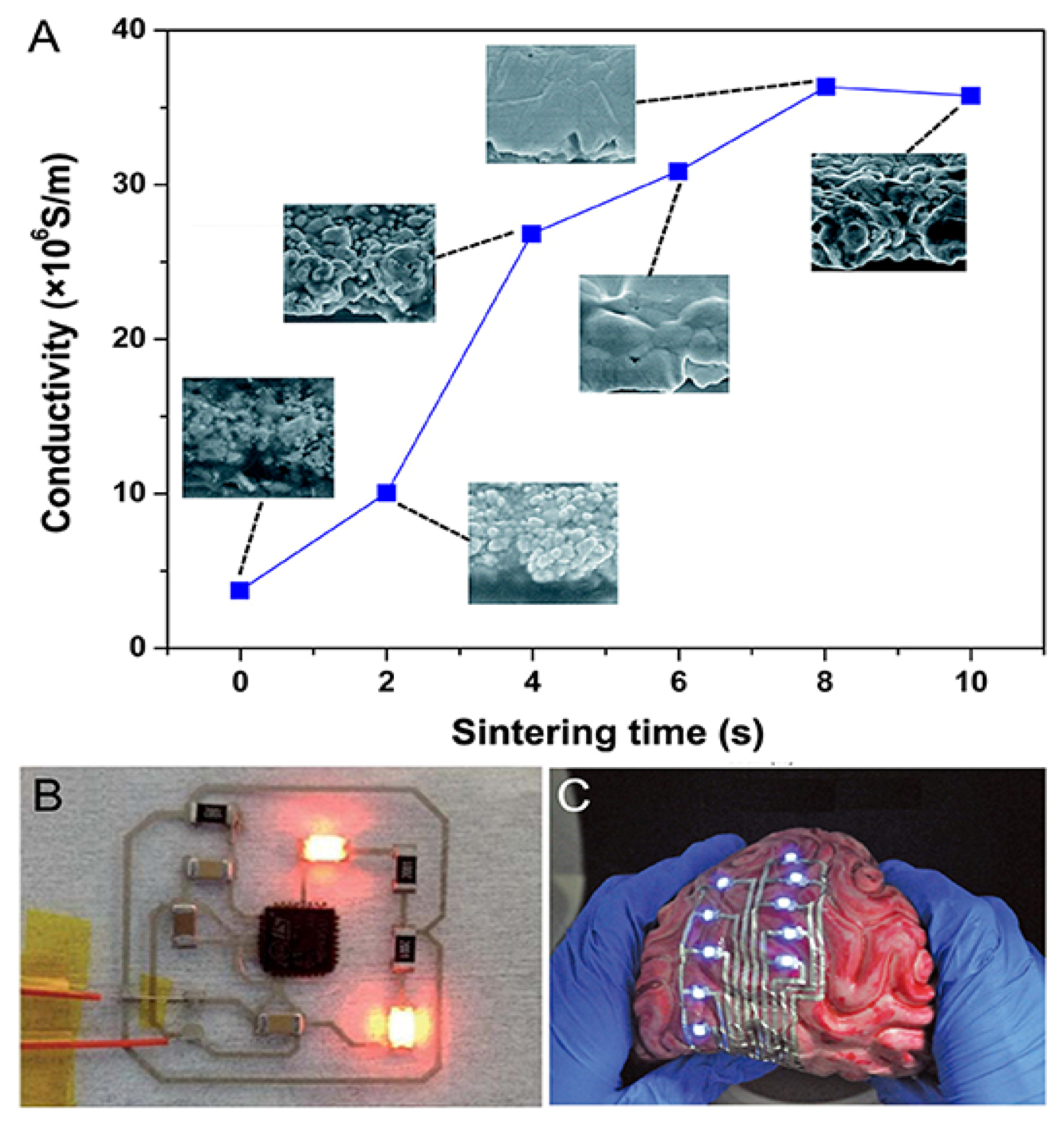 Chemosensors 13 00285 g006