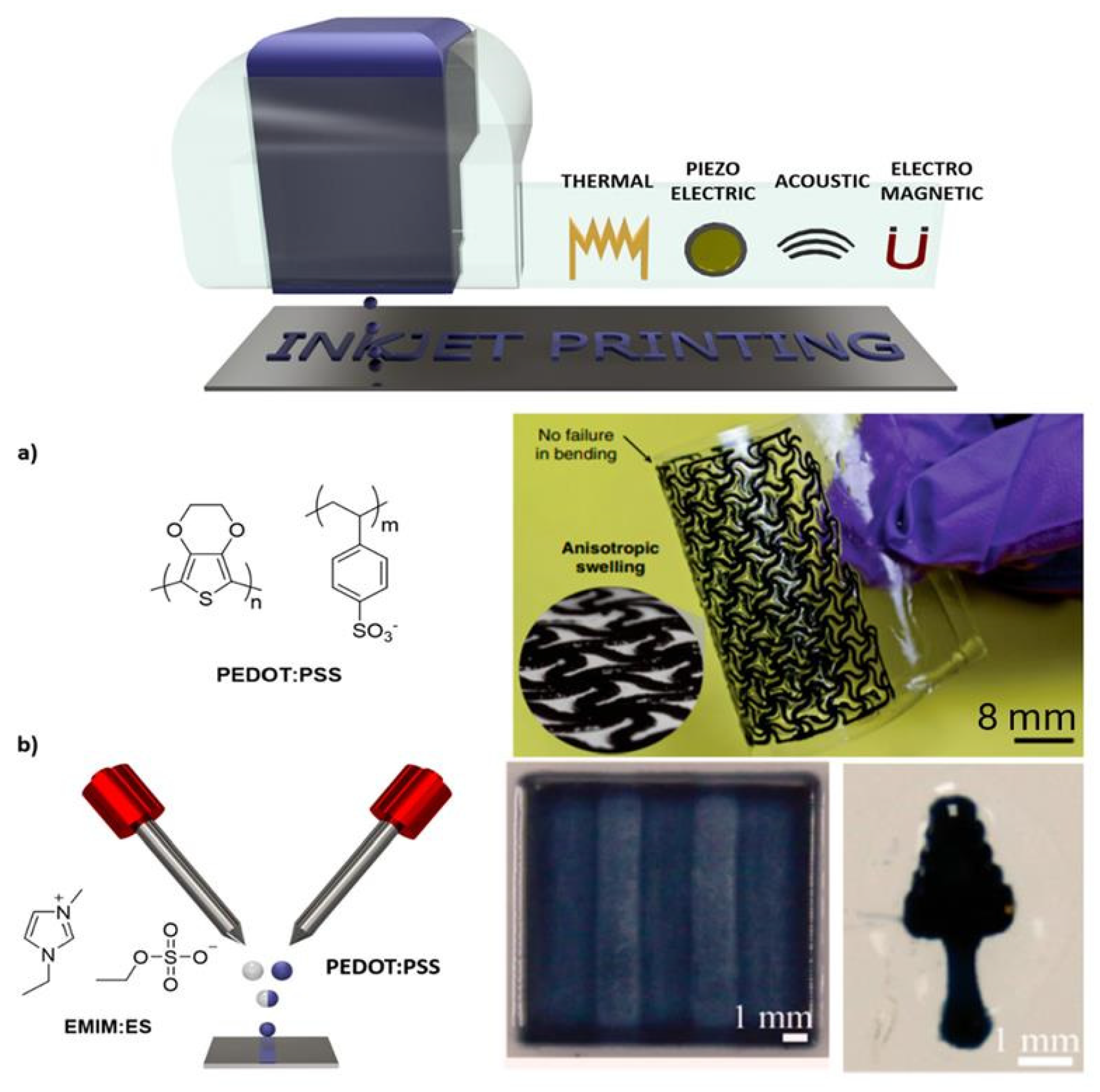 Chemosensors 13 00285 g008