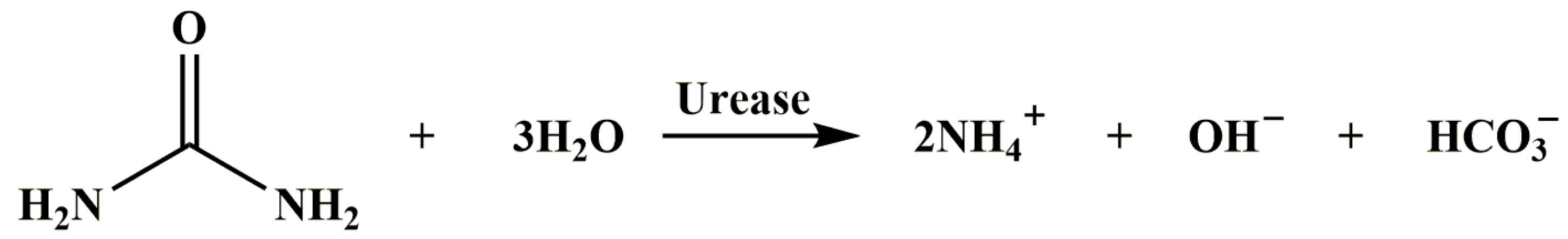 Chemosensors 13 00291 g003 Chemosensors 13 00291 g003