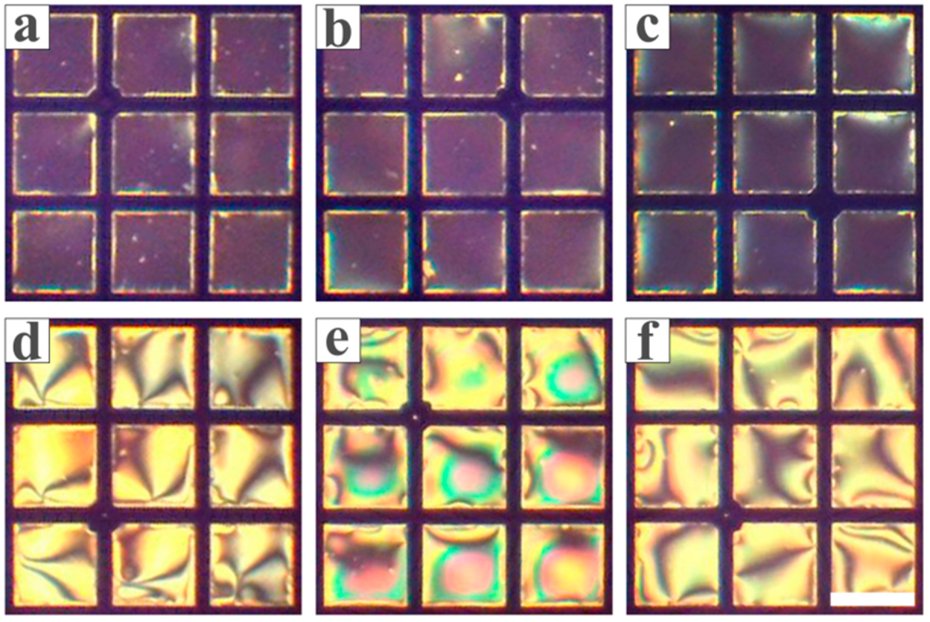 Chemosensors 13 00291 g005 Chemosensors 13 00291 g005