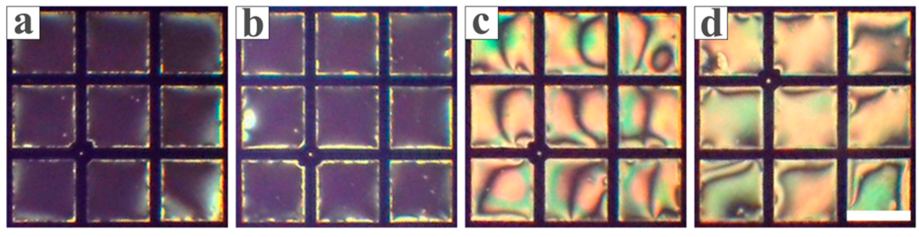 Chemosensors 13 00291 g006 Chemosensors 13 00291 g006