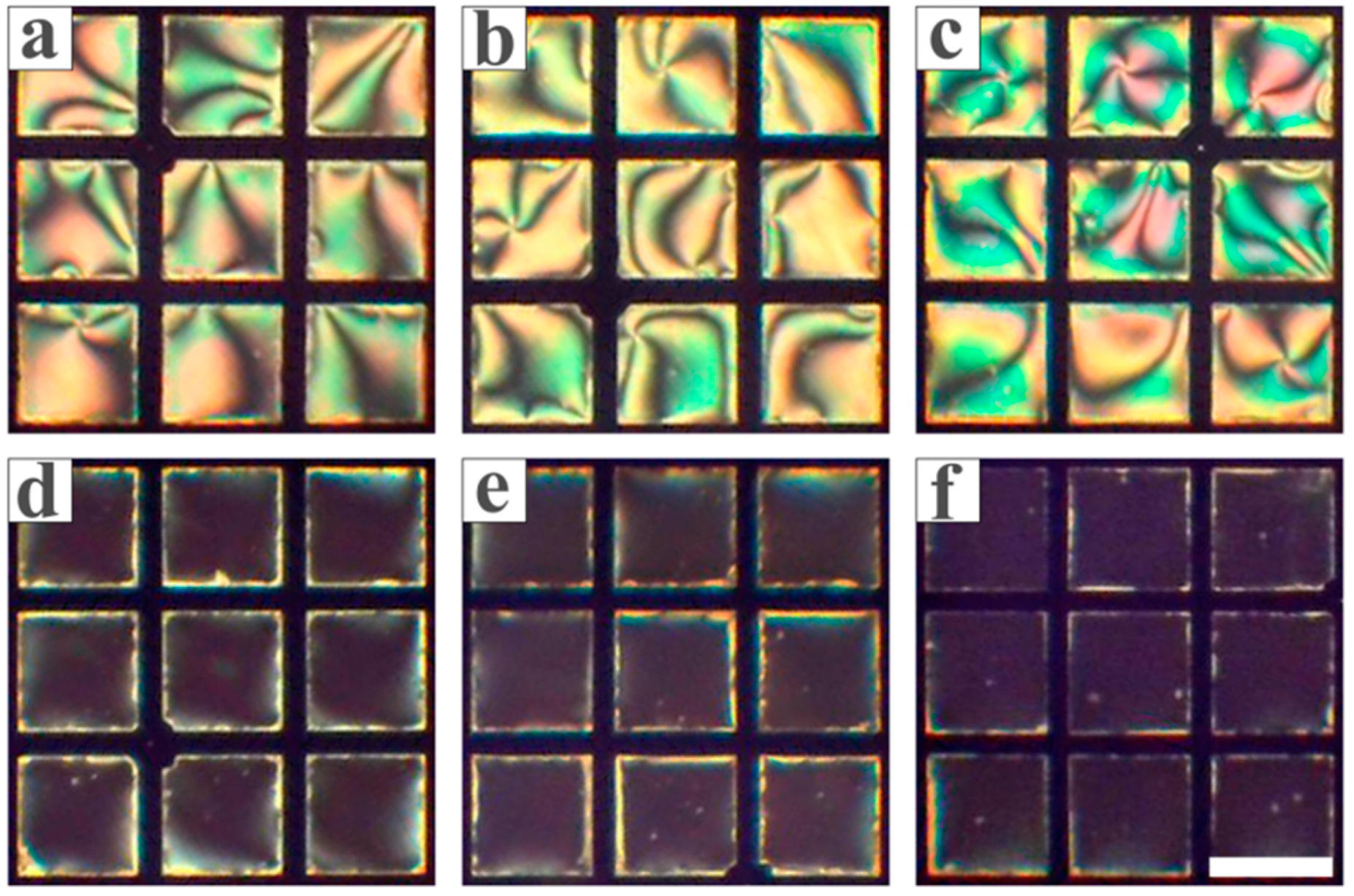 Chemosensors 13 00291 g008 Chemosensors 13 00291 g008