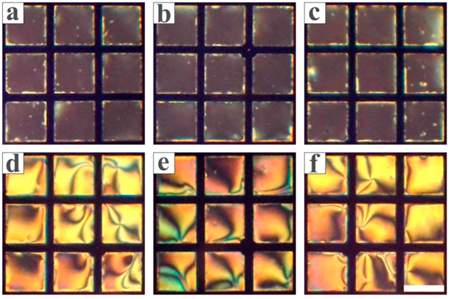 Chemosensors 13 00291 g011 Chemosensors 13 00291 g011