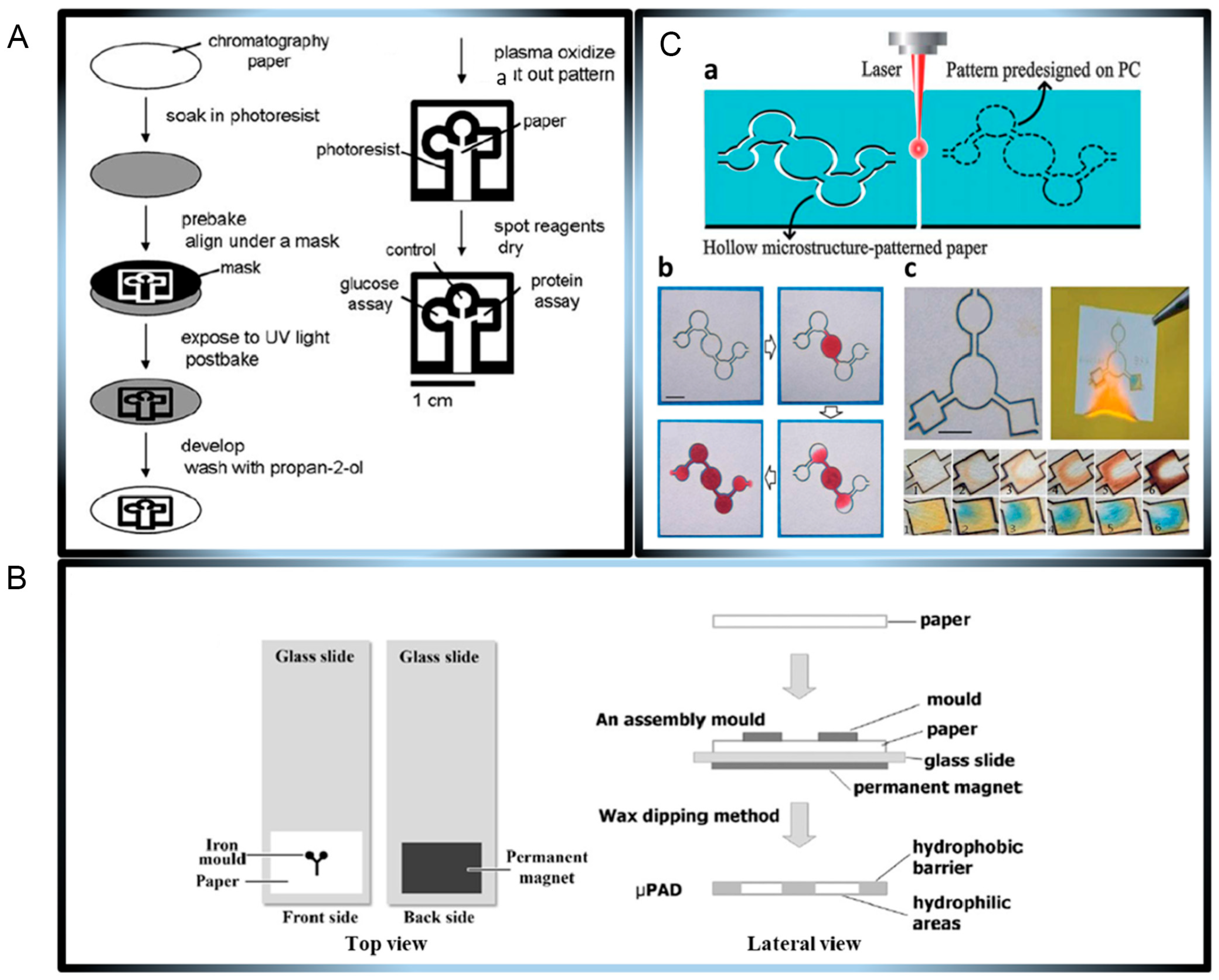 Chemosensors 13 00293 g001