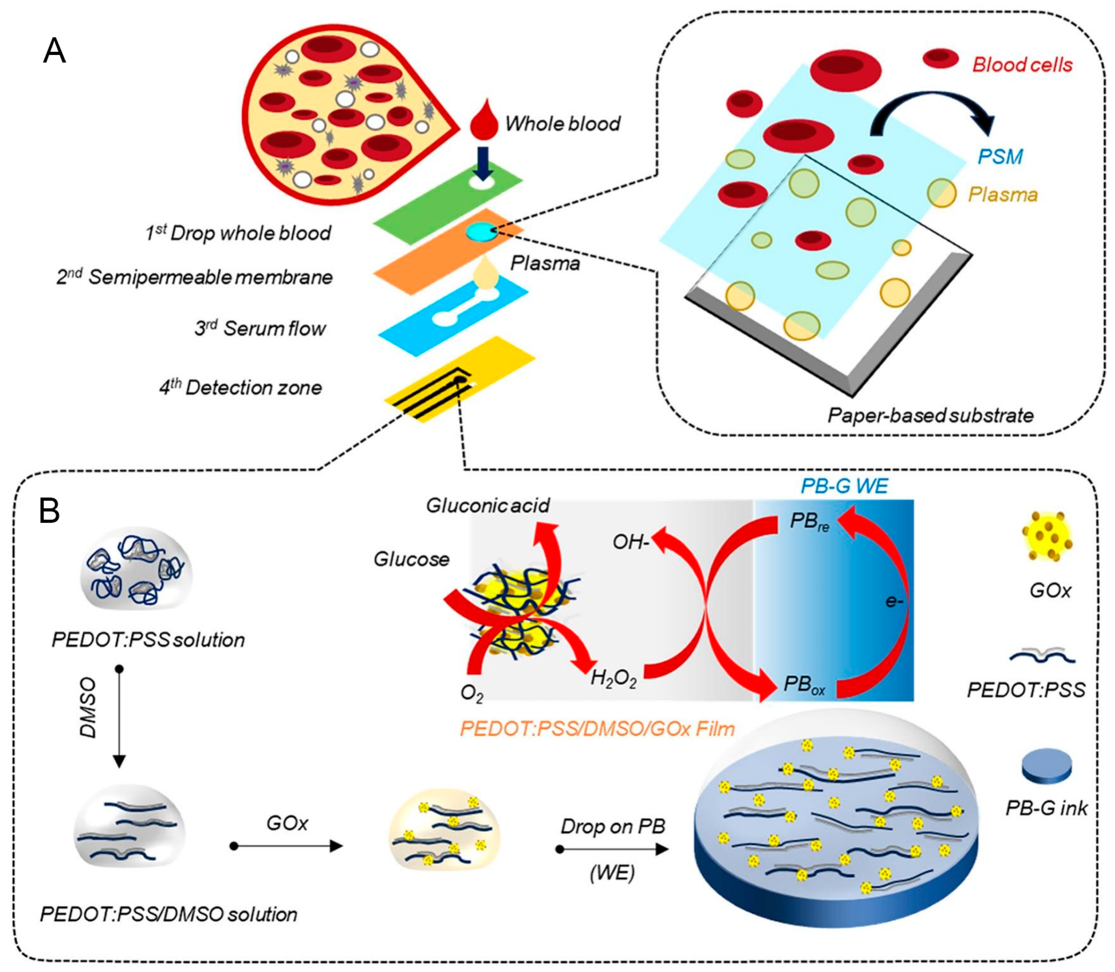 Chemosensors 13 00293 g003