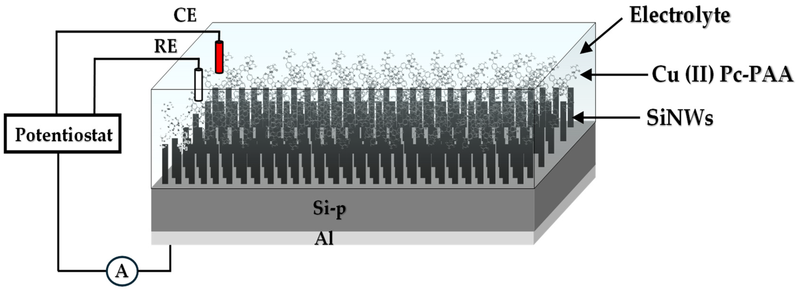 Chemosensors 13 00297 g001