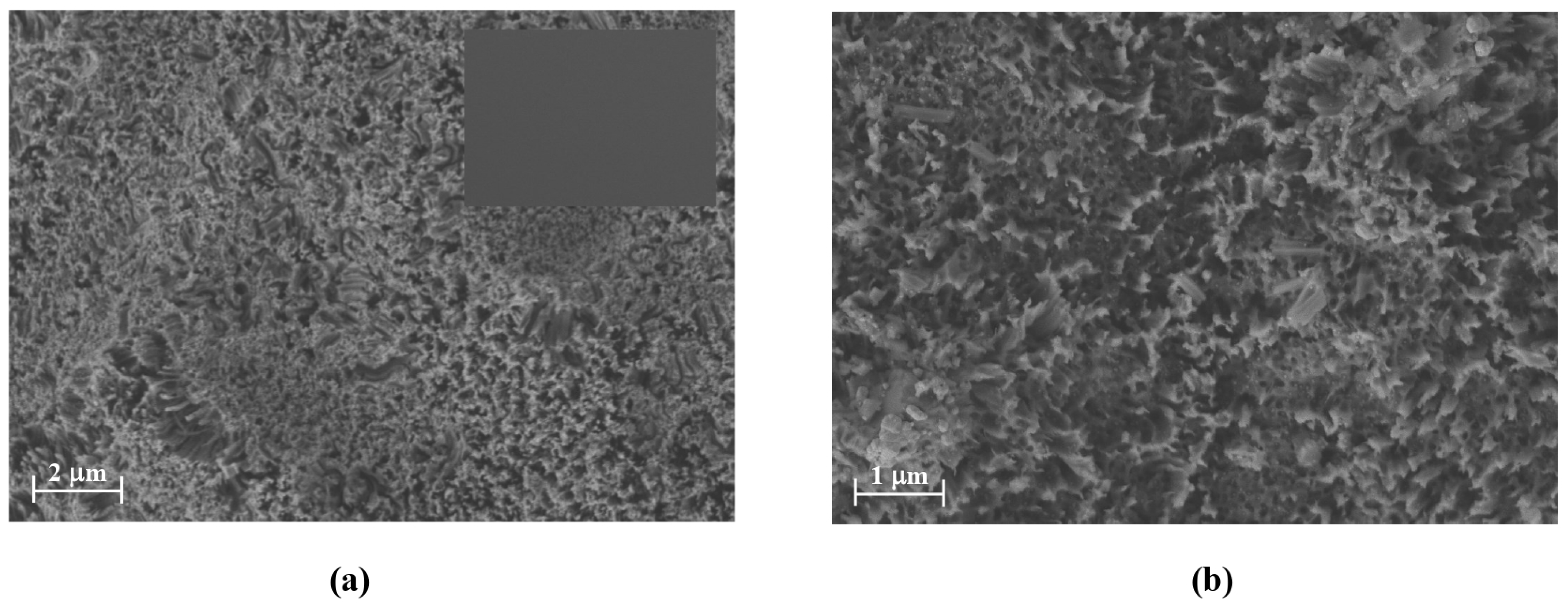 Chemosensors 13 00297 g002