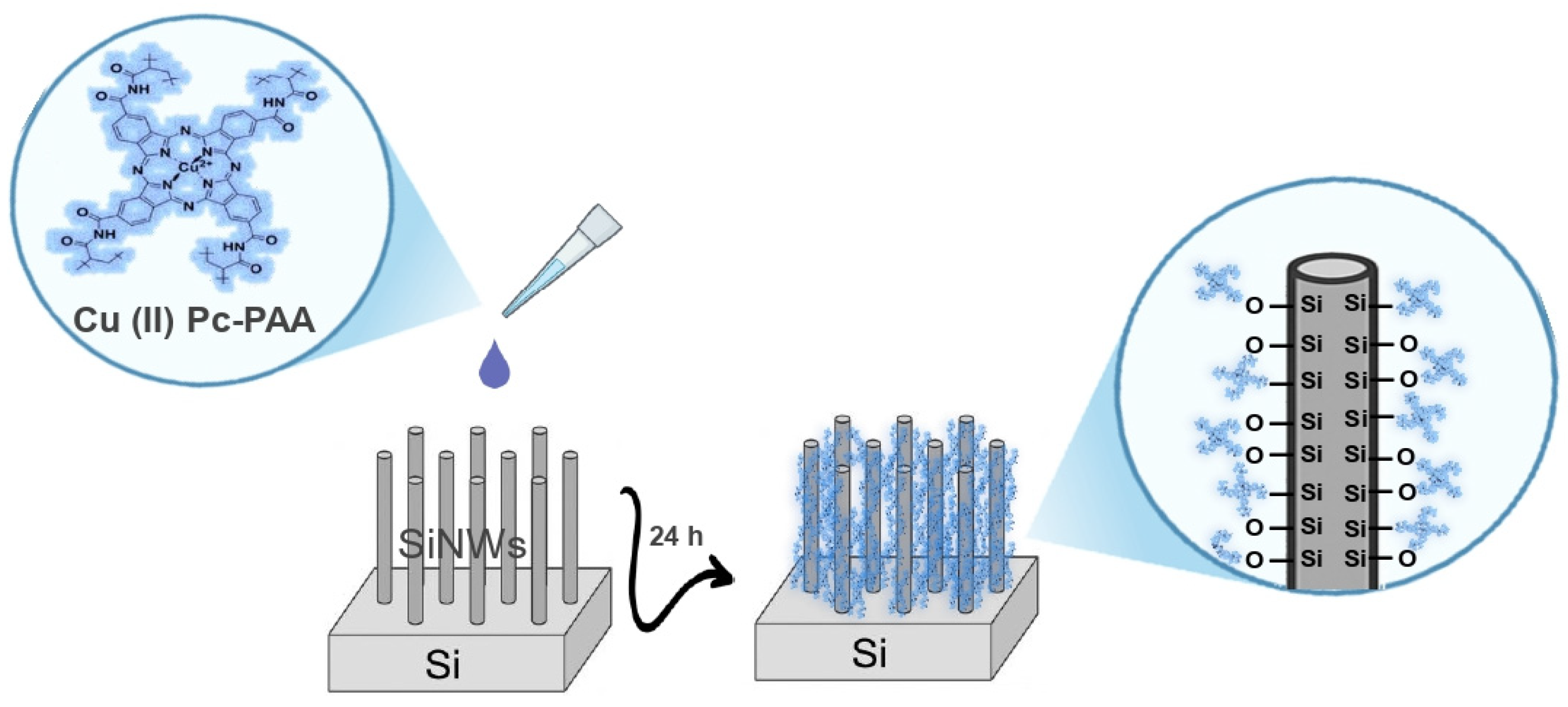 Chemosensors 13 00297 g006
