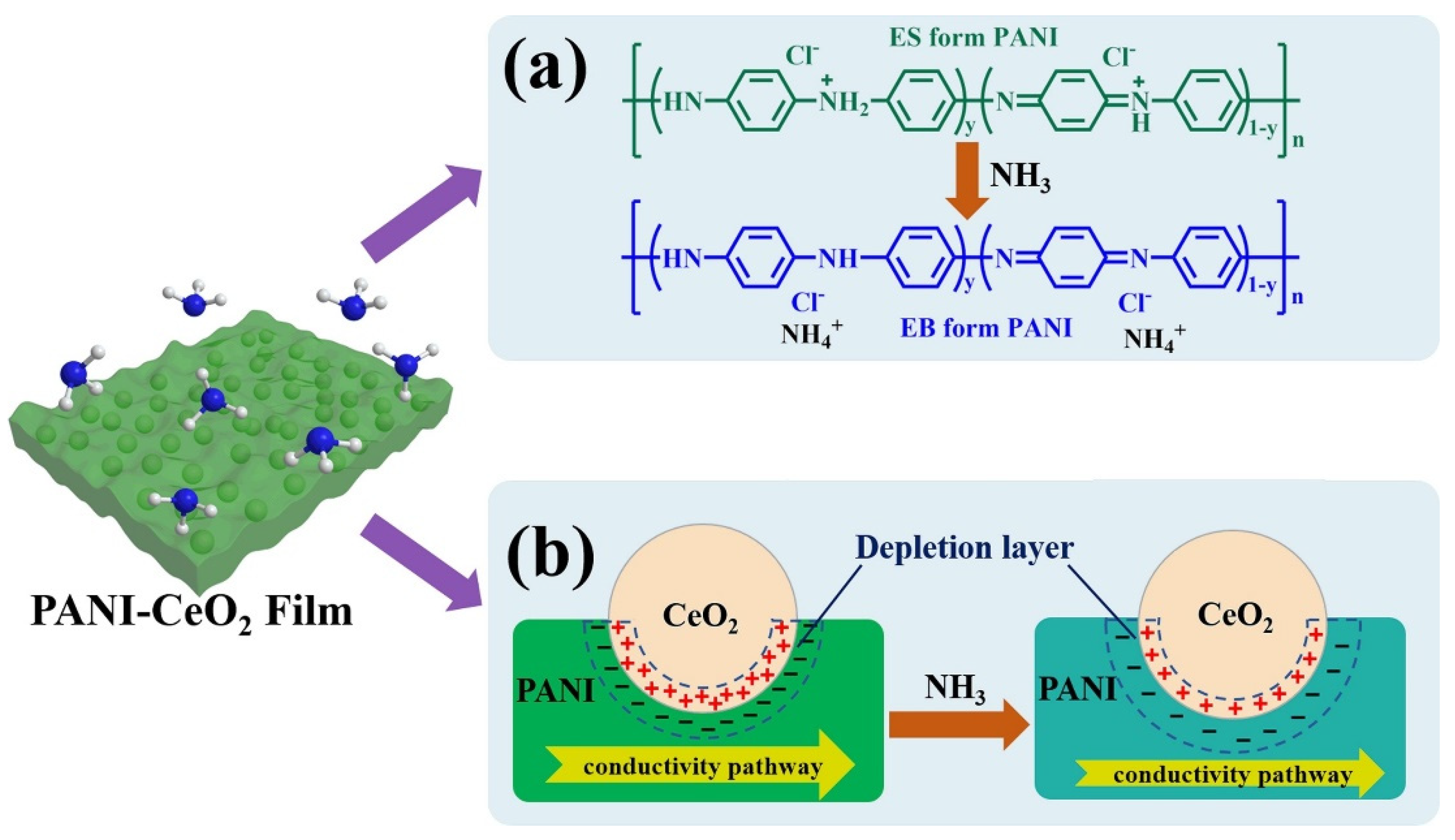 Chemosensors 13 00298 g005 Chemosensors 13 00298 g005