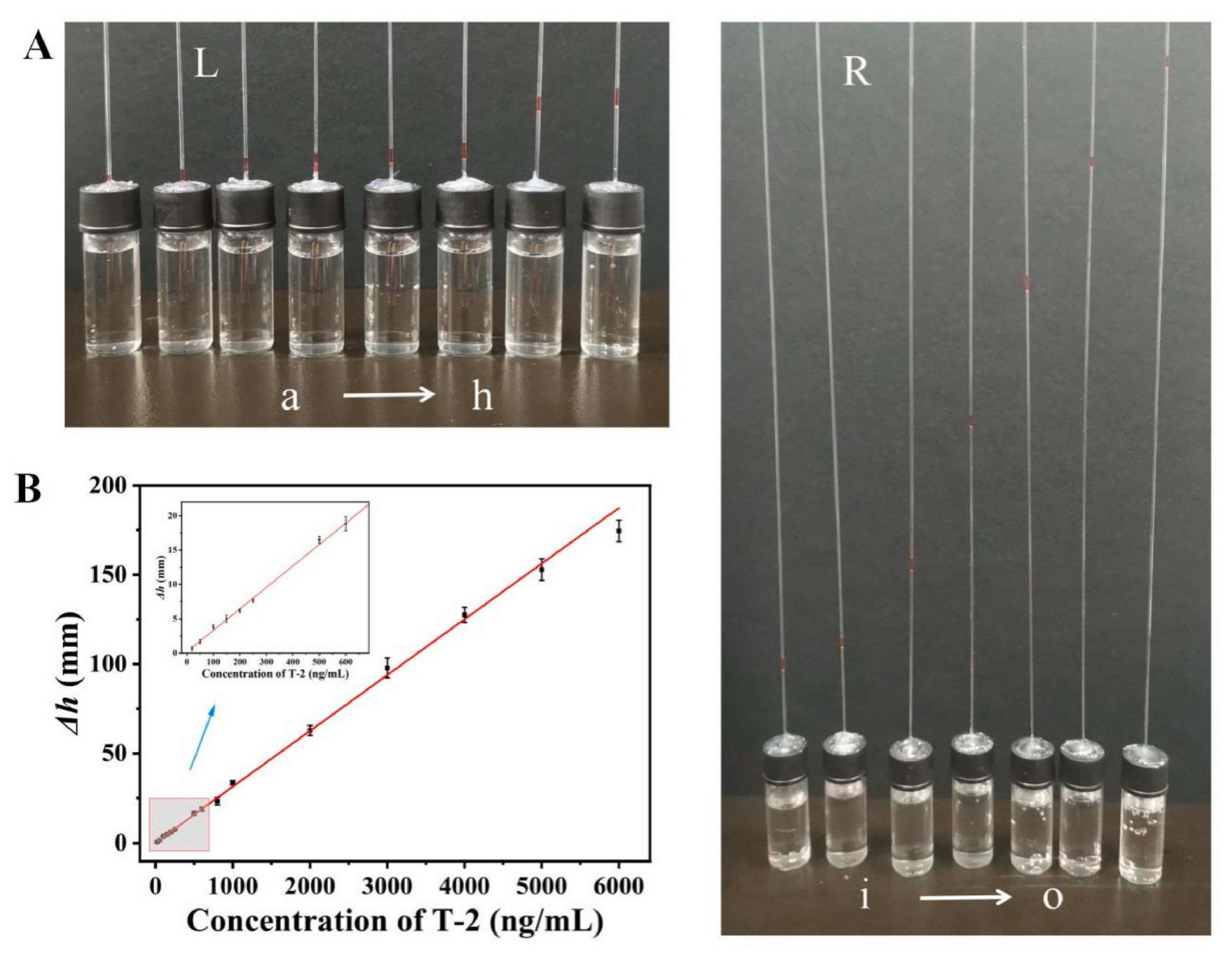 Chemosensors 13 00299 g004