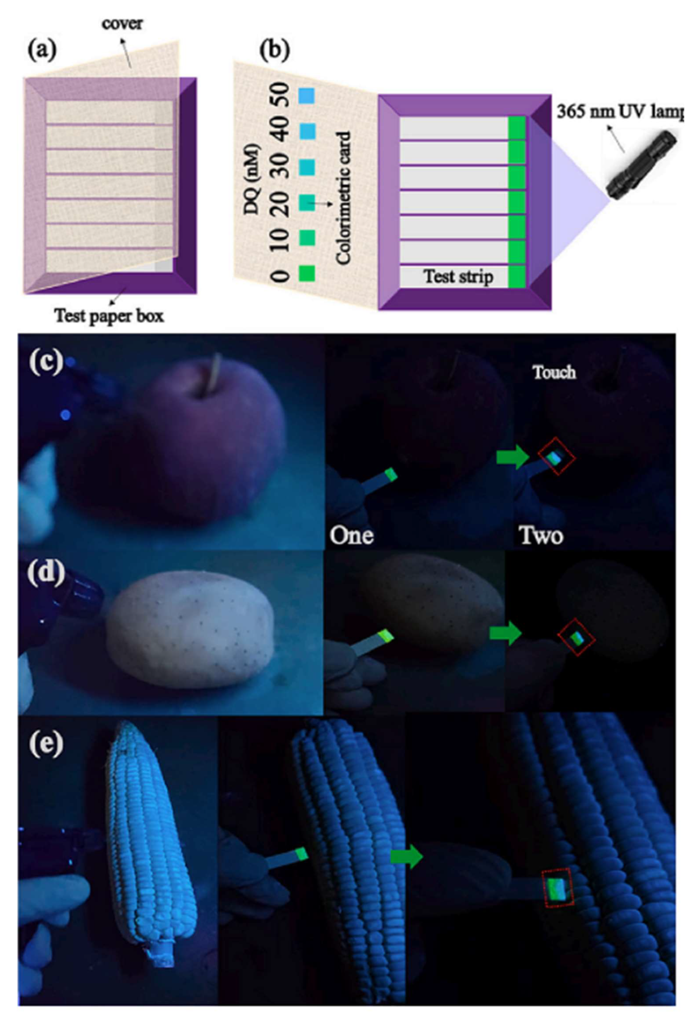 Chemosensors 13 00299 g005