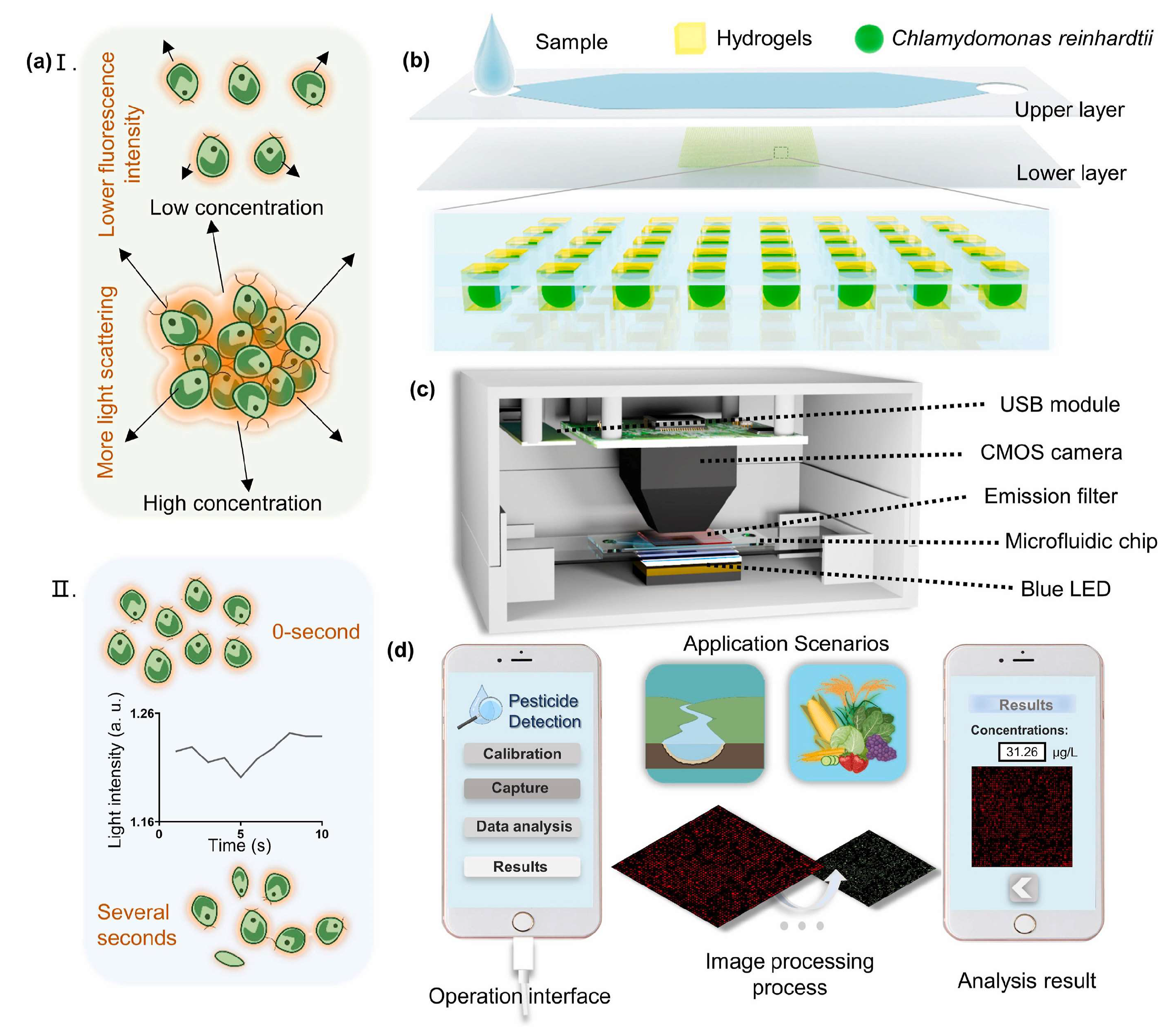 Chemosensors 13 00299 g006