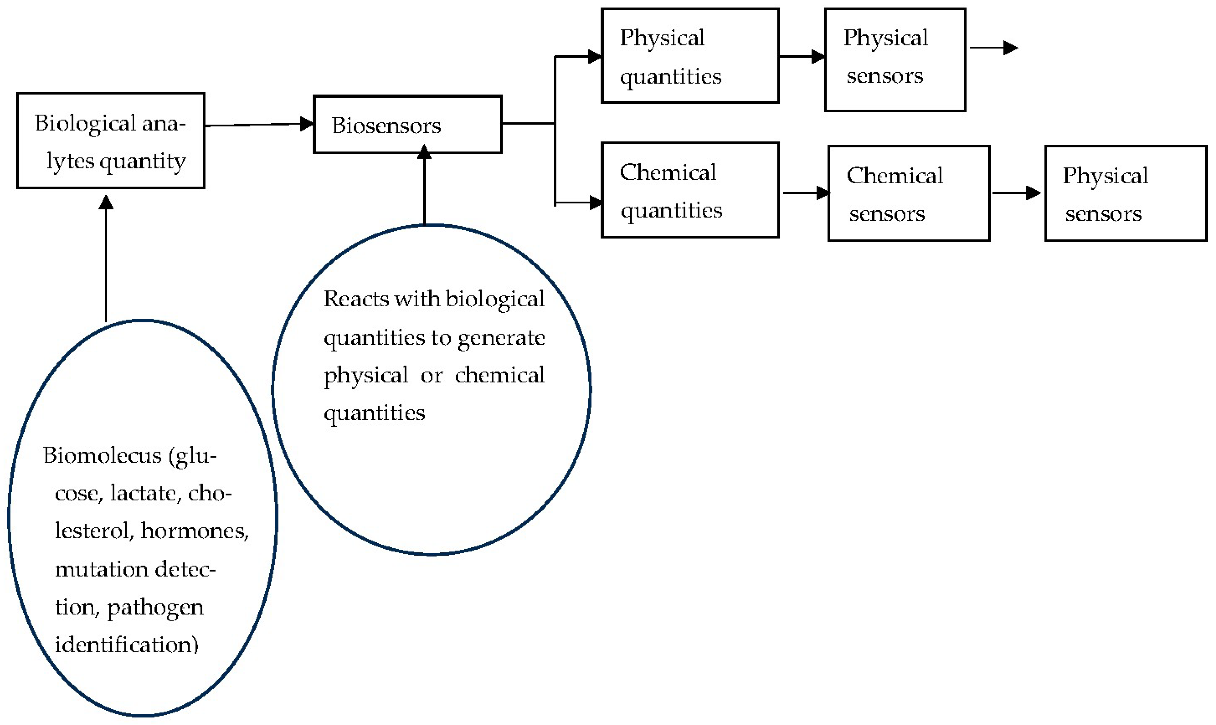 Chemosensors 13 00300 g006