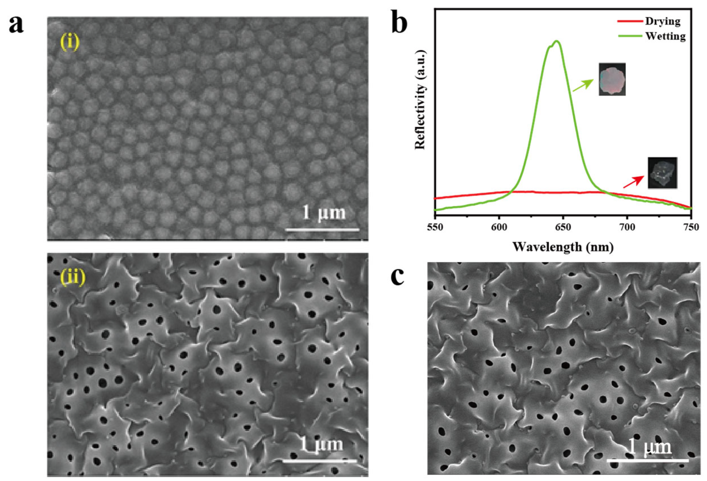 Chemosensors 13 00306 g003