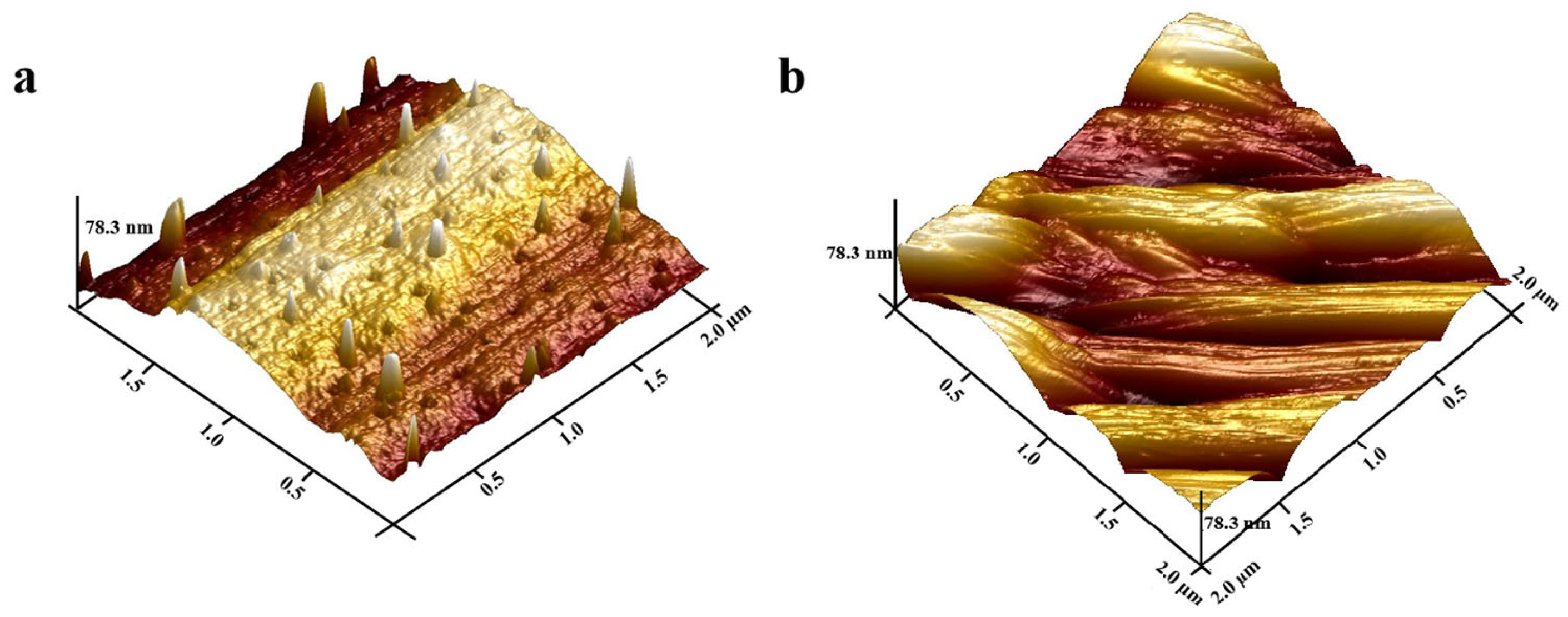 Chemosensors 13 00306 g004