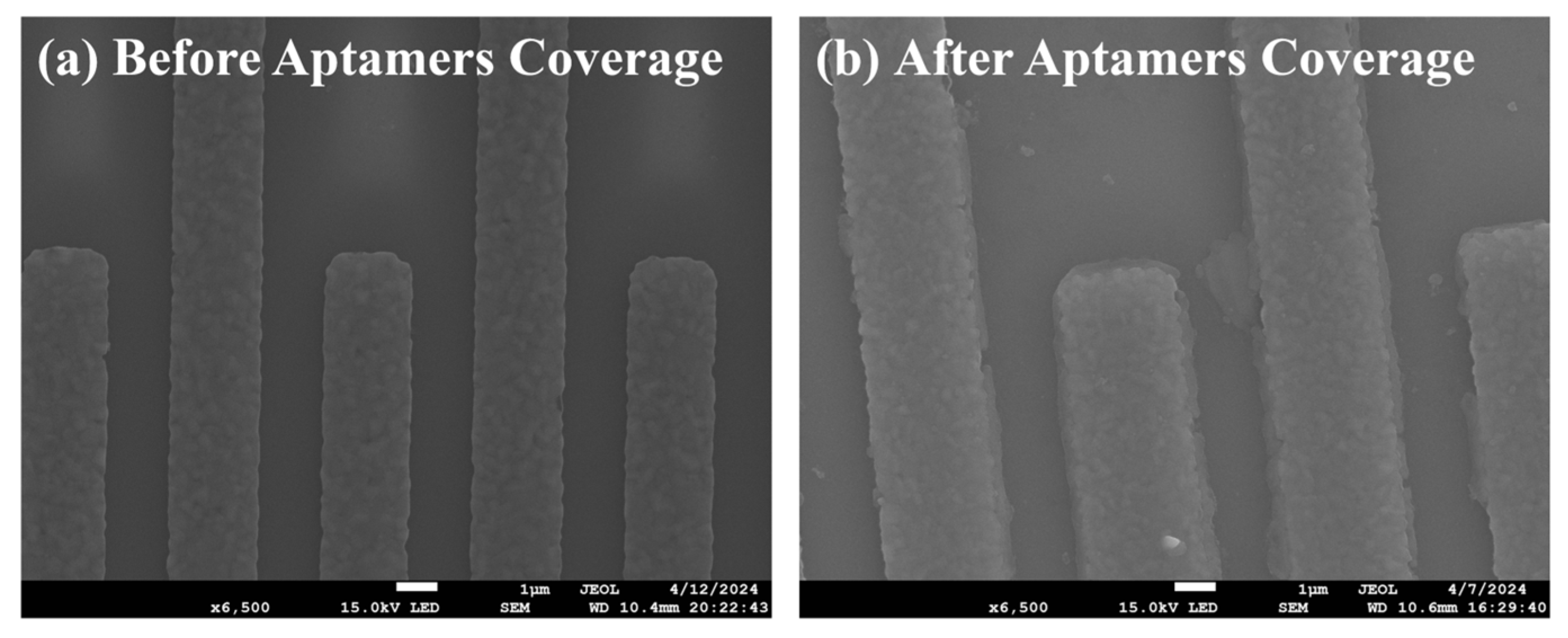 Chemosensors 13 00308 g002