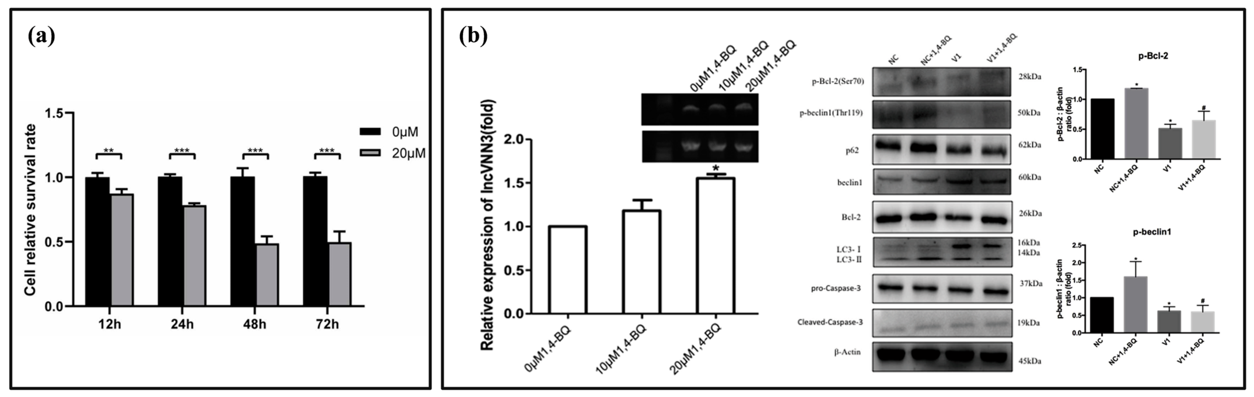 Chemosensors 13 00312 g002 Chemosensors 13 00312 g002
