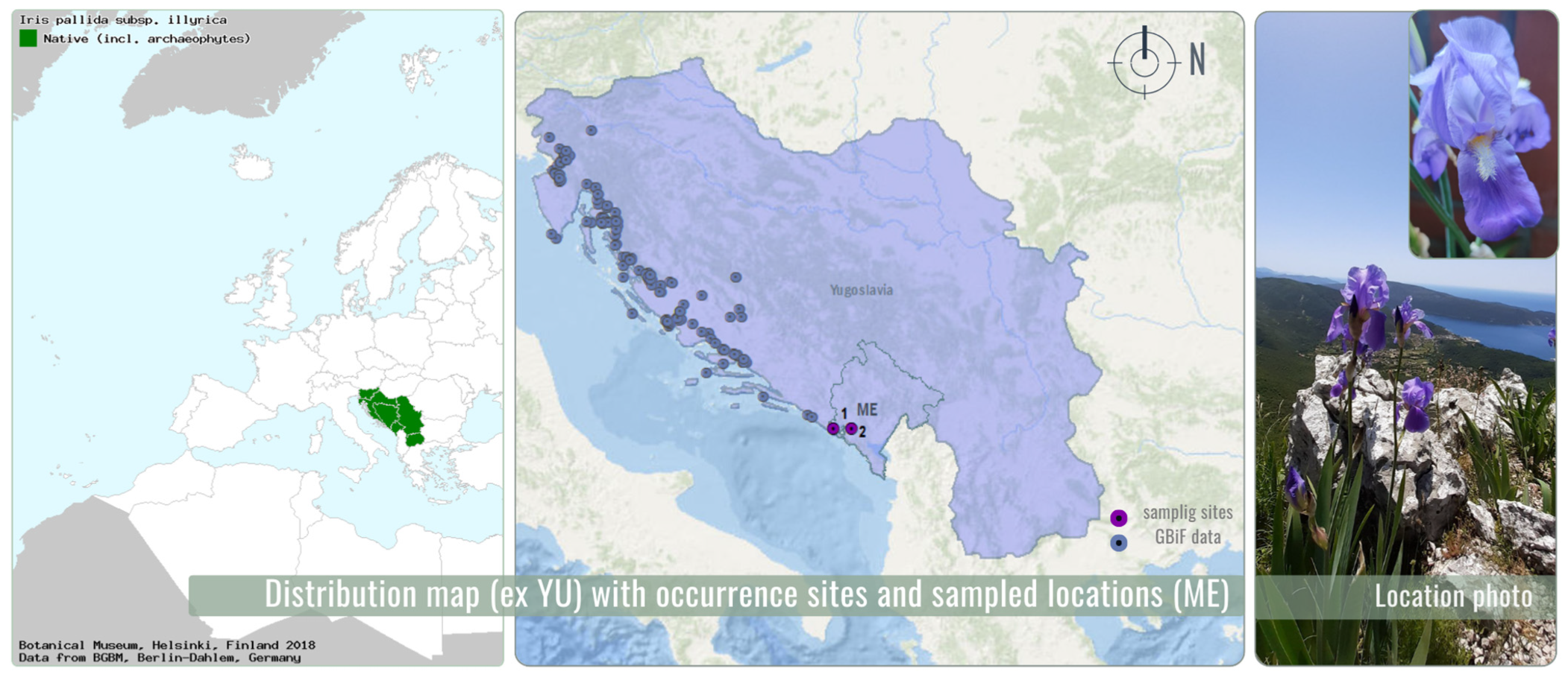 Chemosensors 13 00319 g001 Chemosensors 13 00319 g001