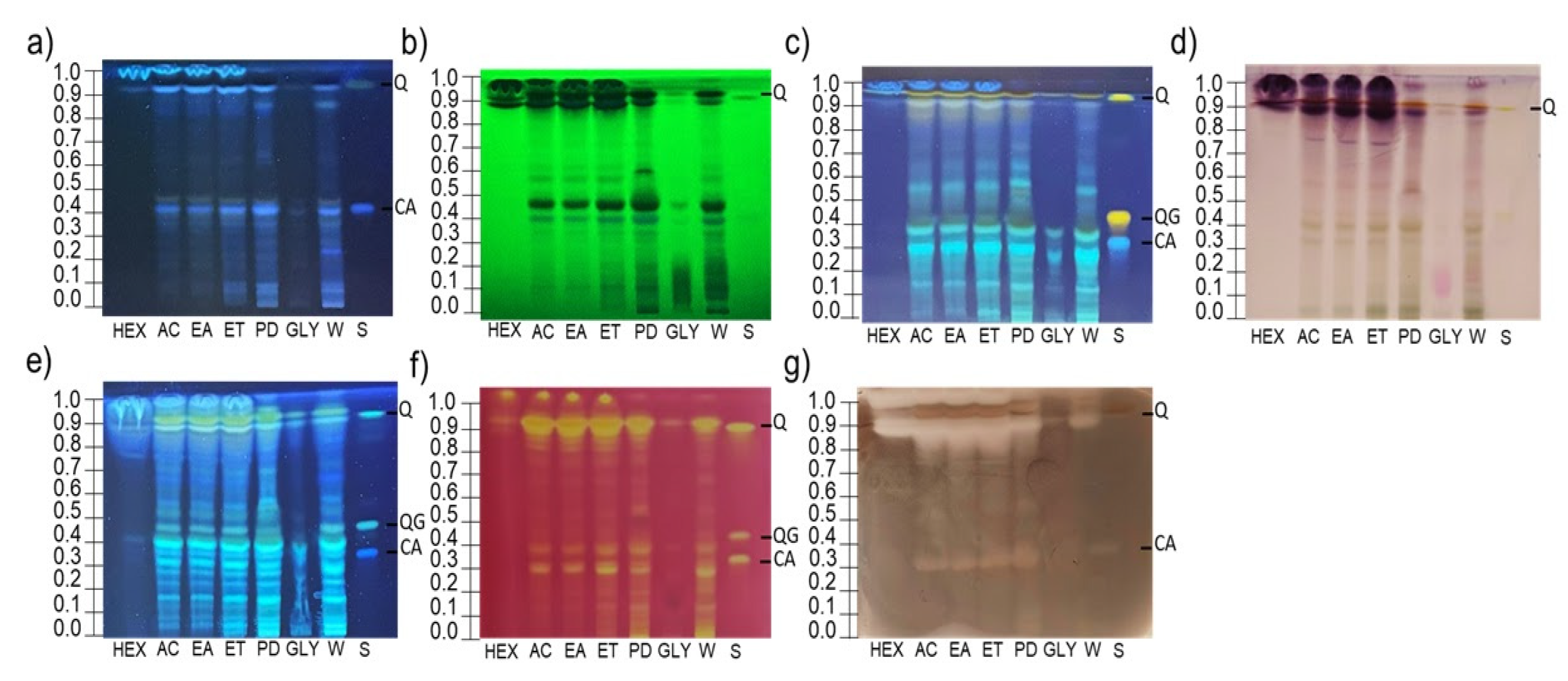 Chemosensors 13 00319 g002 Chemosensors 13 00319 g002