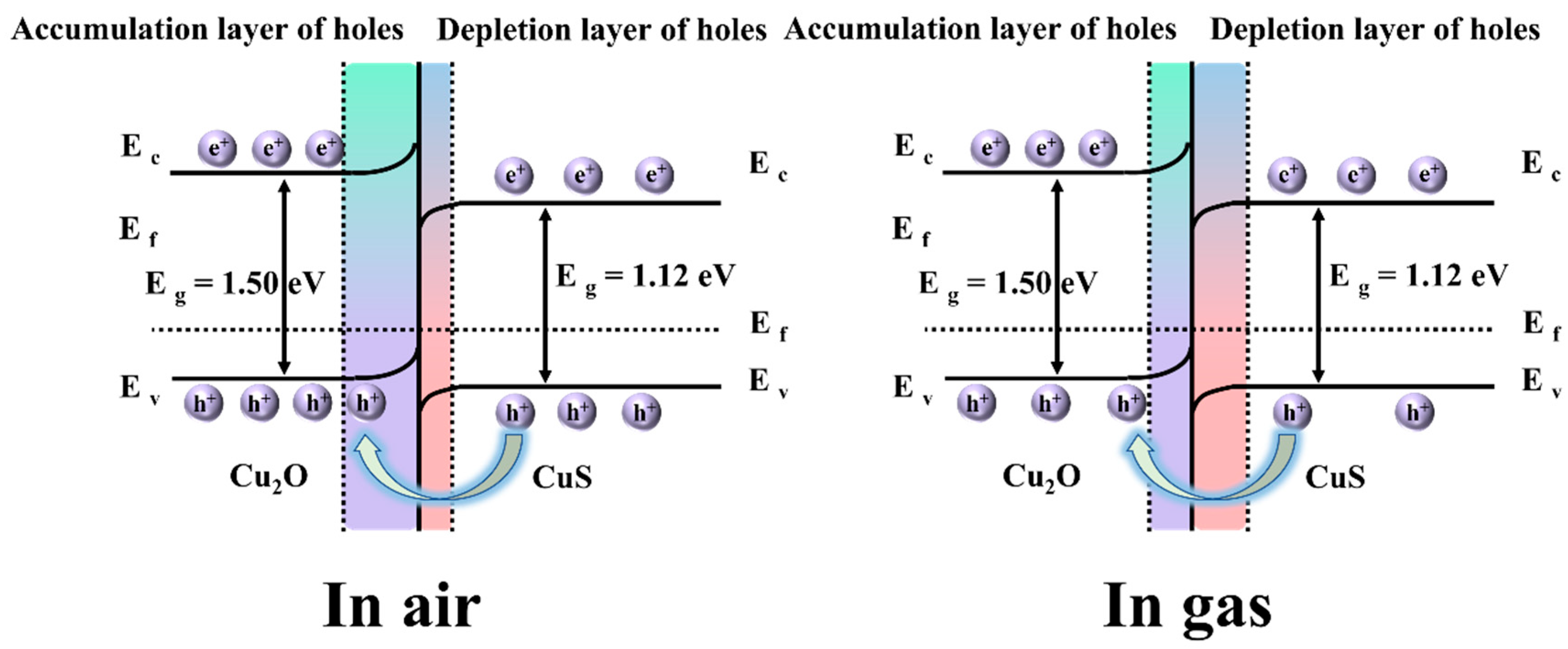 Chemosensors 13 00324 g005 Chemosensors 13 00324 g005